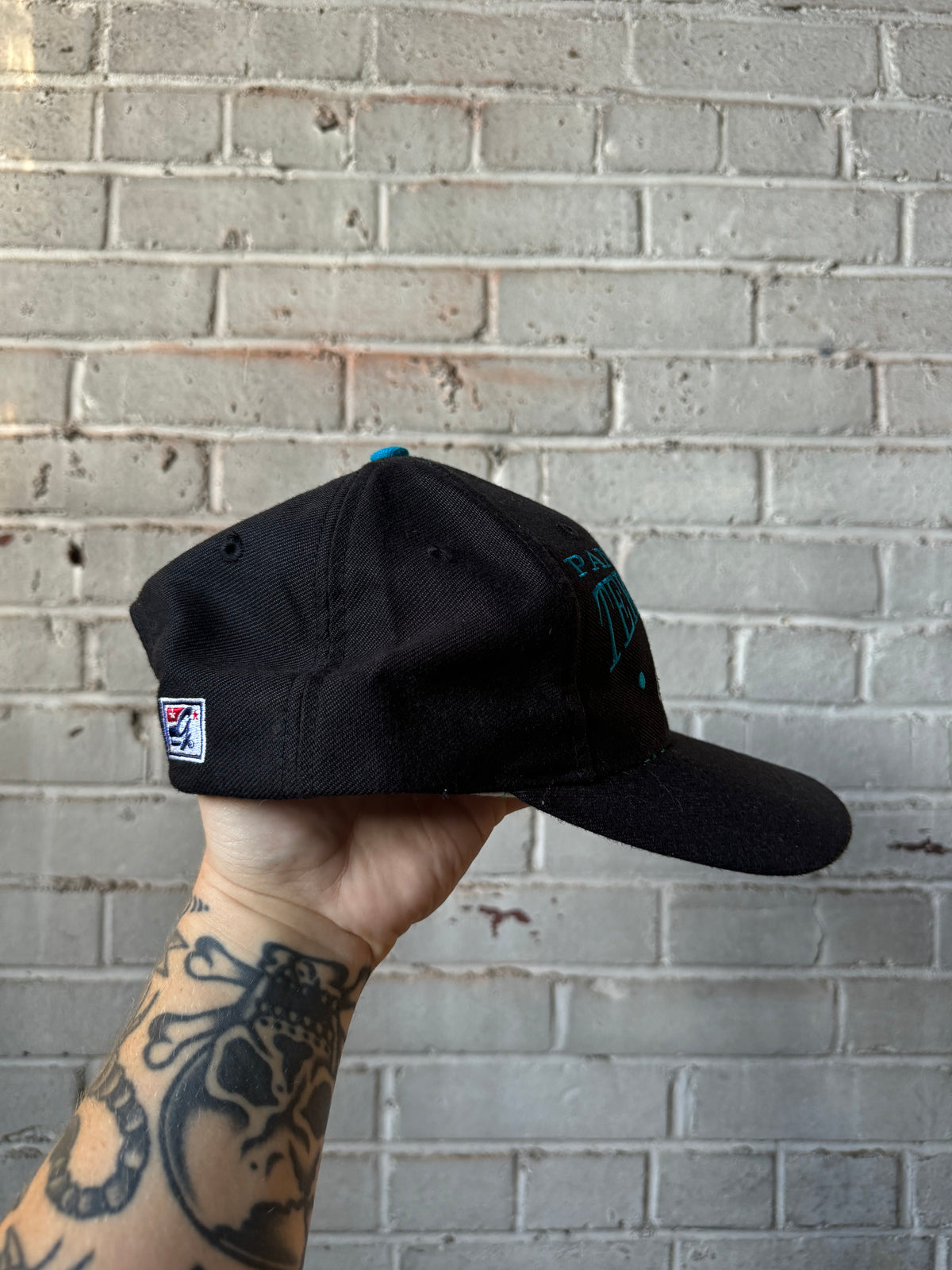 90’s Carolina Panthers “Panthers Territory” Vintage Black The Game NFL Snapback Hat (OSFA)