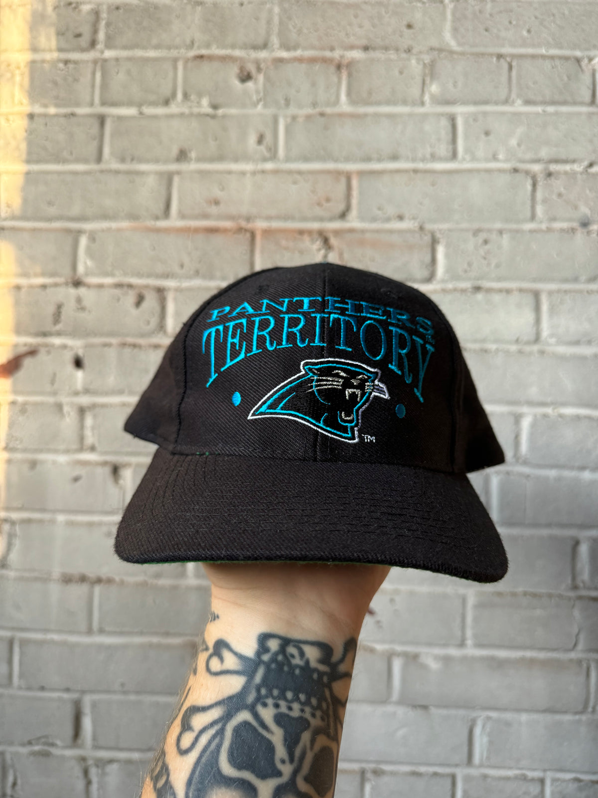 90’s Carolina Panthers “Panthers Territory” Vintage Black The Game NFL Snapback Hat (OSFA)