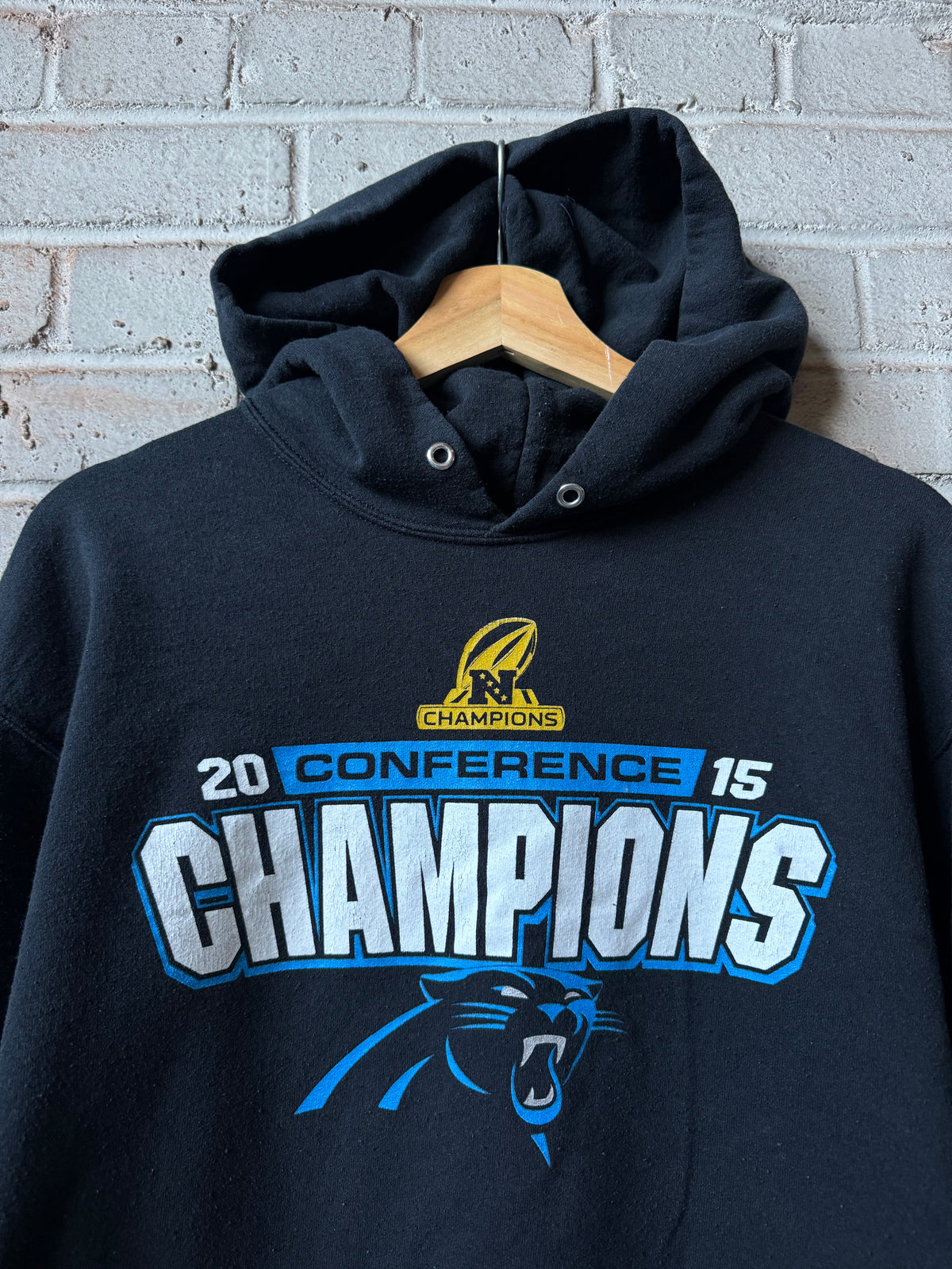 2015 Carolina Panthers Black NFC Champions Super Bowl 50 NFL Hoodie (Large)