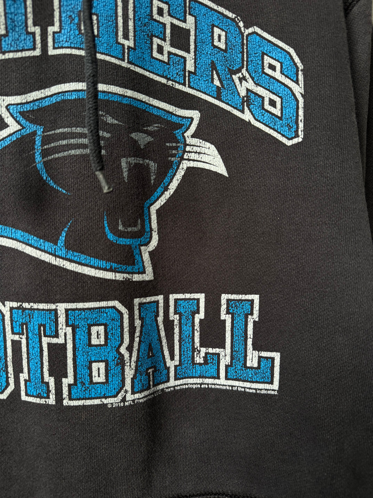 2010 Carolina Panthers Vintage Black Arch Spellout Heavyweight NFL Hoodie (XL)