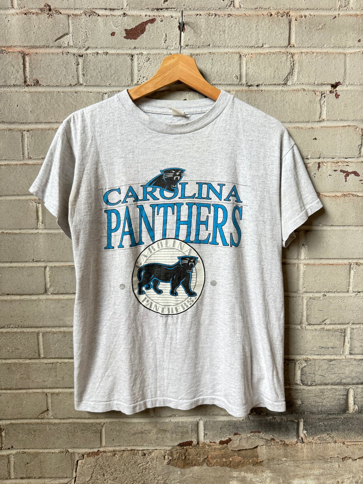 1993 Carolina Panthers Vintage Heather Grey Full Cat Logo NFL Tee (Small)