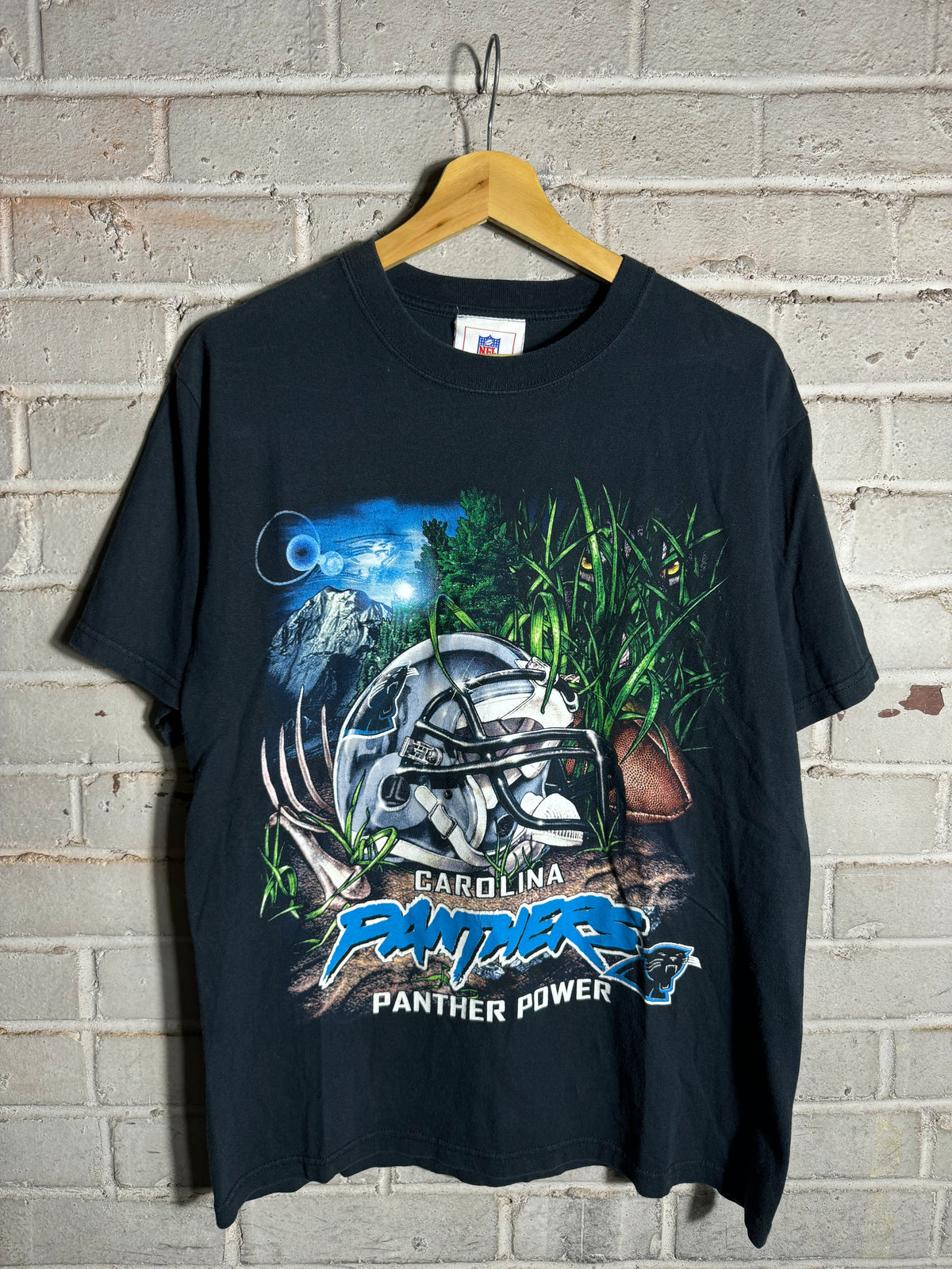 00’s Carolina Panthers Vintage Black “Panther Power” NFL Jungle Scene Tee (Small)
