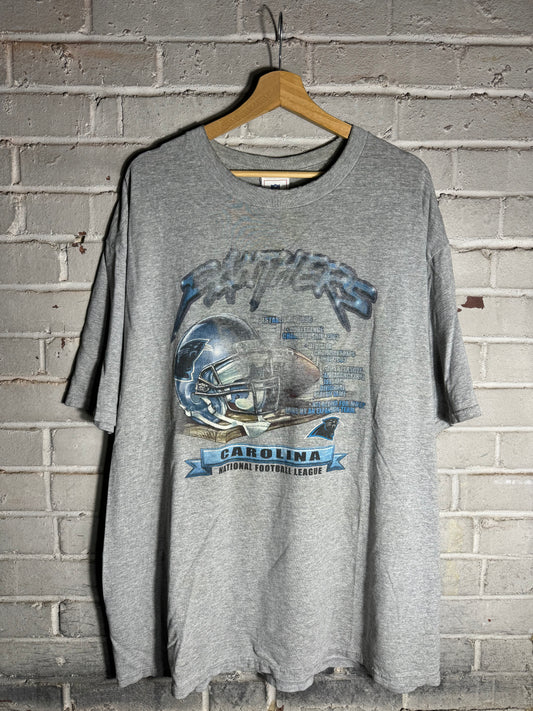 00’s Carolina Panthers Vintage Grey Distressed Franchise Accolades NFL Tee (XXL)