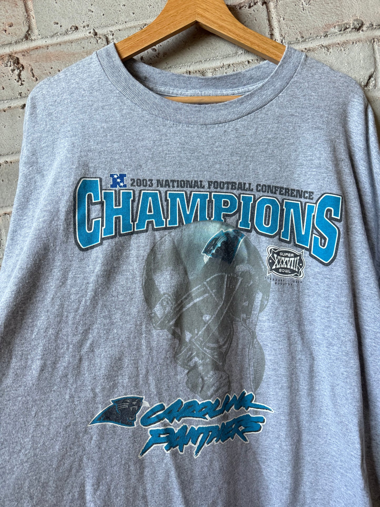 2003 Carolina Panthers Vintage Grey Cat Scratch Font NFC Champions Super Bowl XXXVIII NFL Tee (XXL)