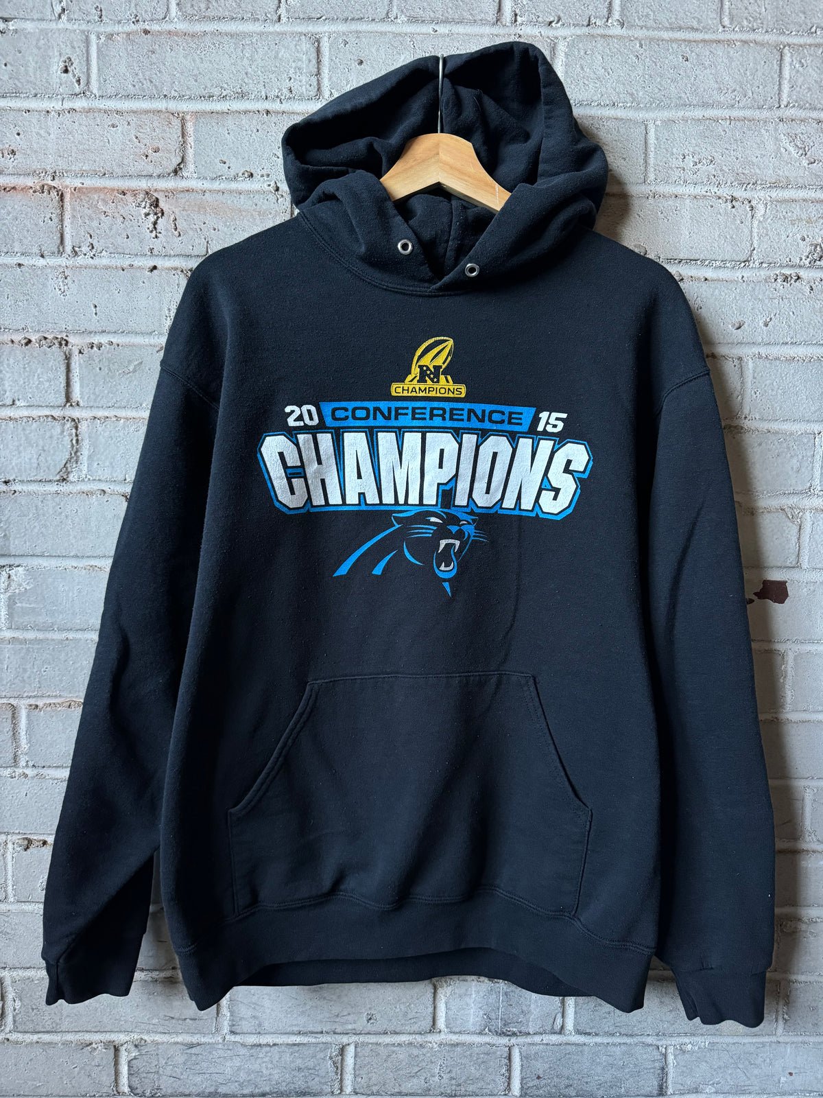 2015 Carolina Panthers Black NFC Champions Super Bowl 50 NFL Hoodie (Large)