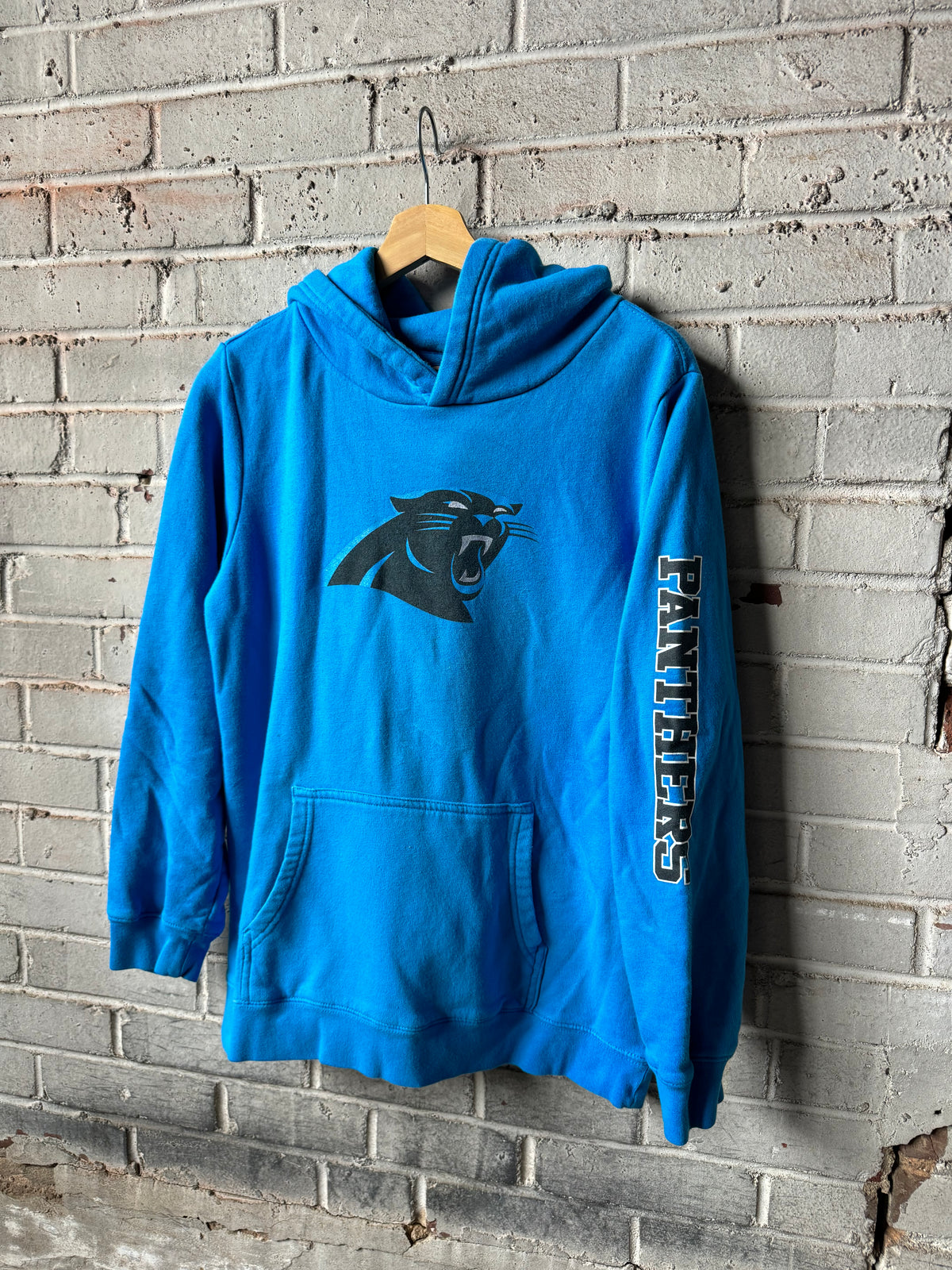 Carolina Panthers Blue Fanatics Spellout NFL Hoodie (Youth XL)