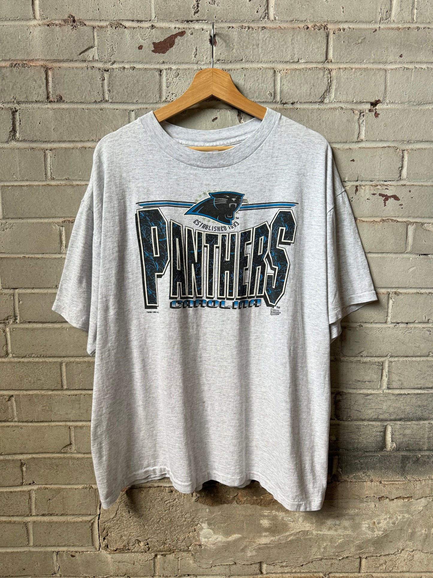 1993 Carolina Panthers Vintage Heather Grey Spellout NFL Tee (XL)