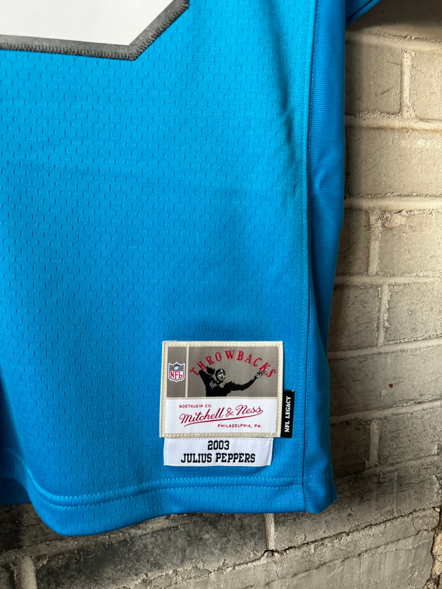 2003 Carolina Panthers Julius Peppers Alternate Blue Mitchell & Ness Legacy NFL Throwback Jersey - Deadstock (44/Large)