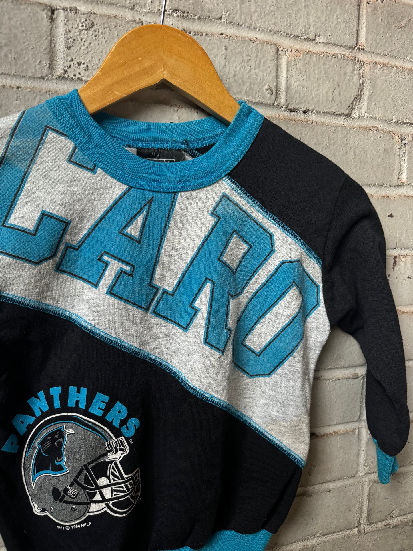 1994 Carolina Panthers Vintage Kids Big Spellout Cut & Sew Crewneck (14” x 17”)