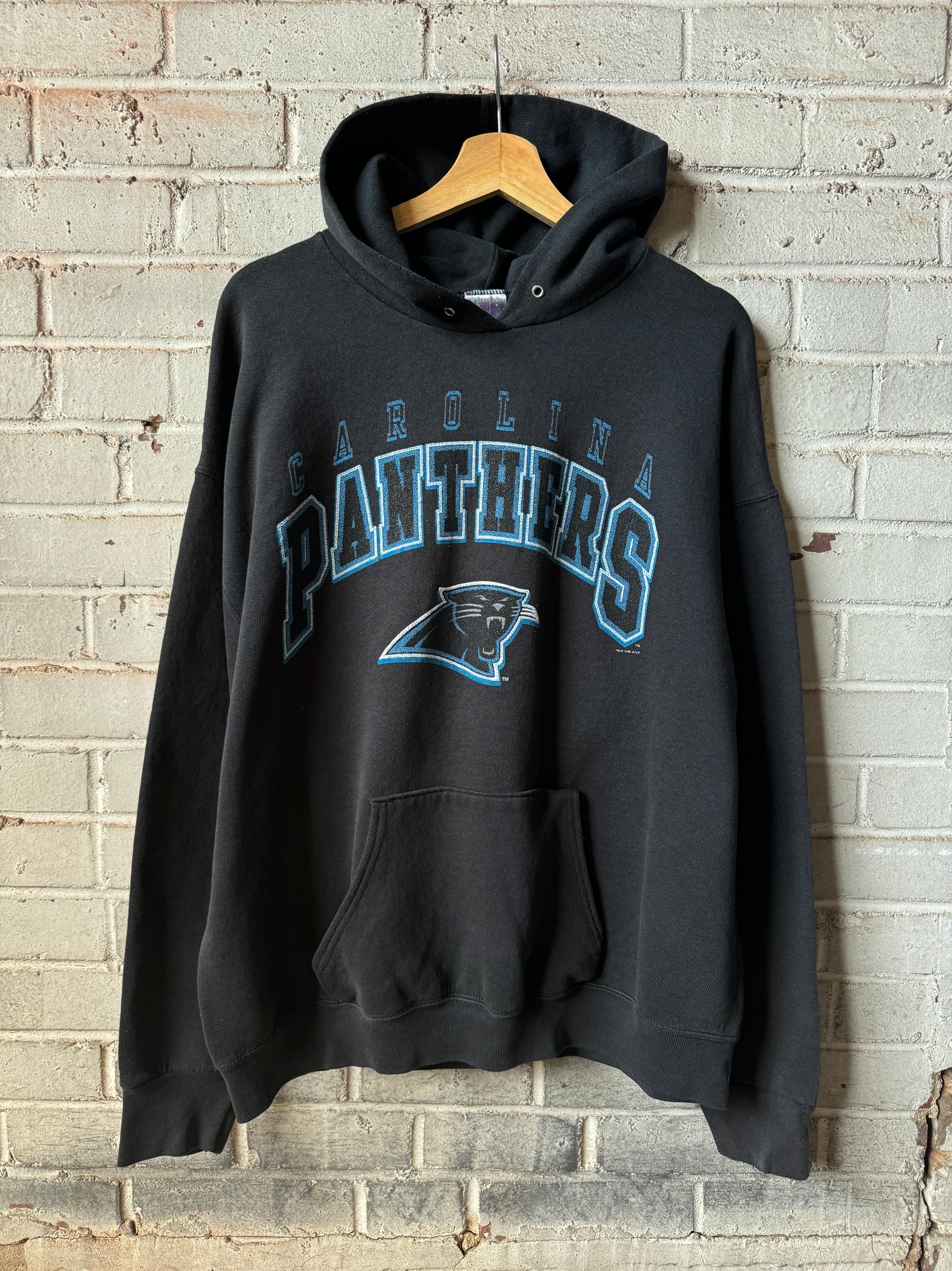 1996 Carolina Panthers Vintage Black Distressed NFL Hoodie (XL)