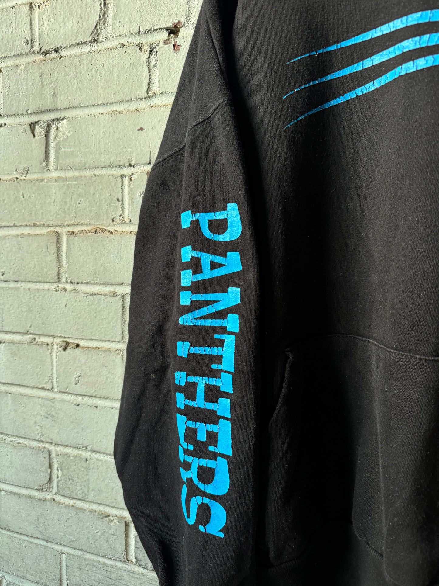 00’s Carolina Panthers Vintage Black Cat Face Multi Logo NFL Hoodie (XXL)