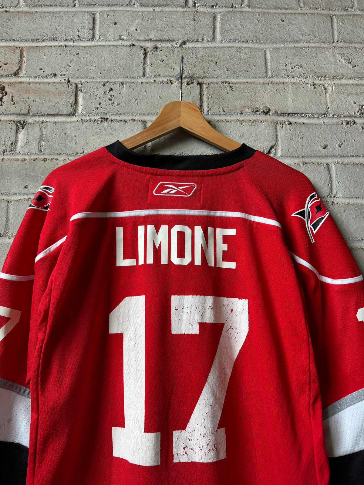 2010’s Carolina Hurricanes #17 Fan Name Reebok NHL Hockey Jersey (Youth L/XL)