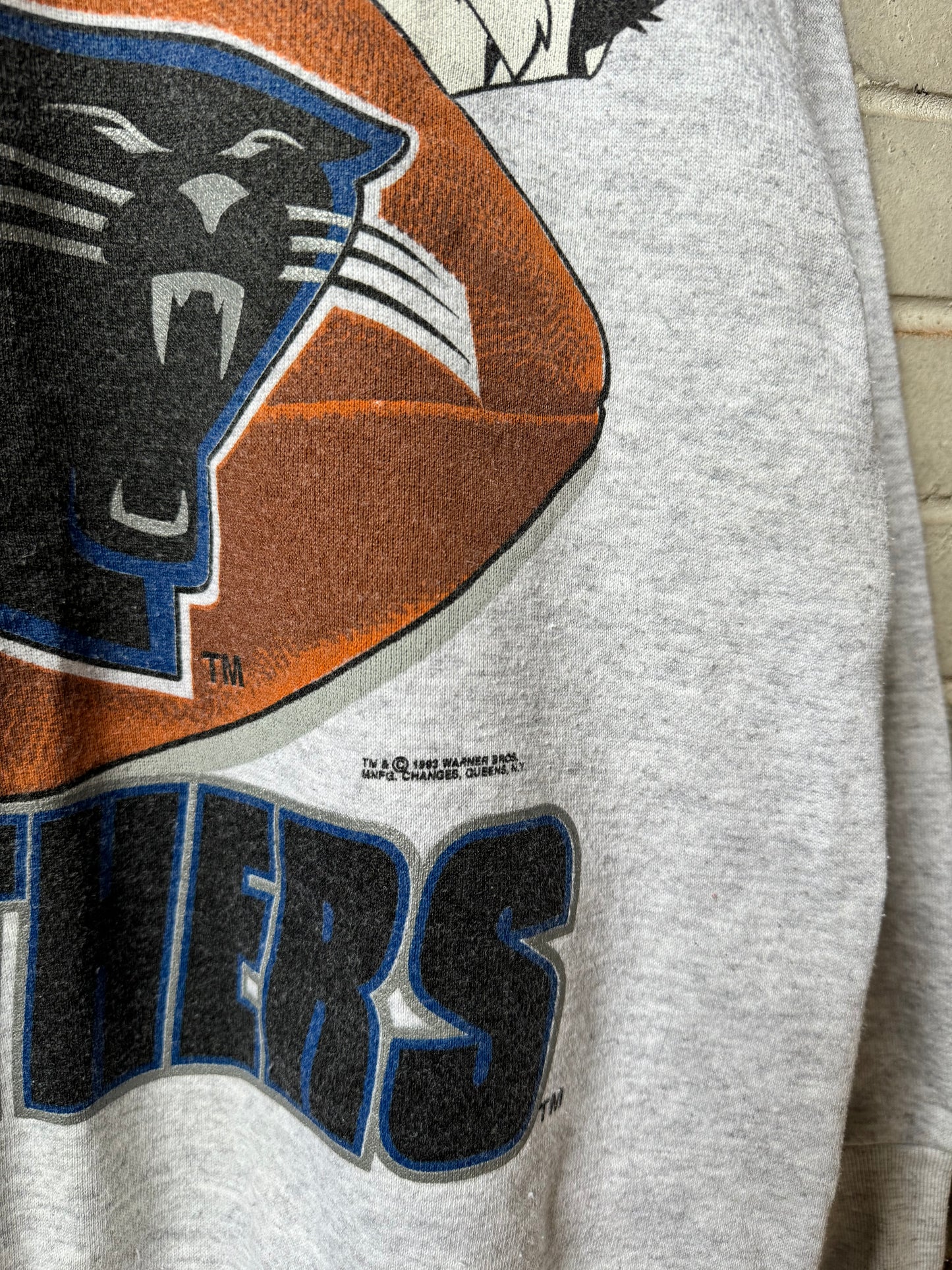 1993 Carolina Panthers x Looney Tunes Cartoon Crossover NFL Crewneck (Medium)