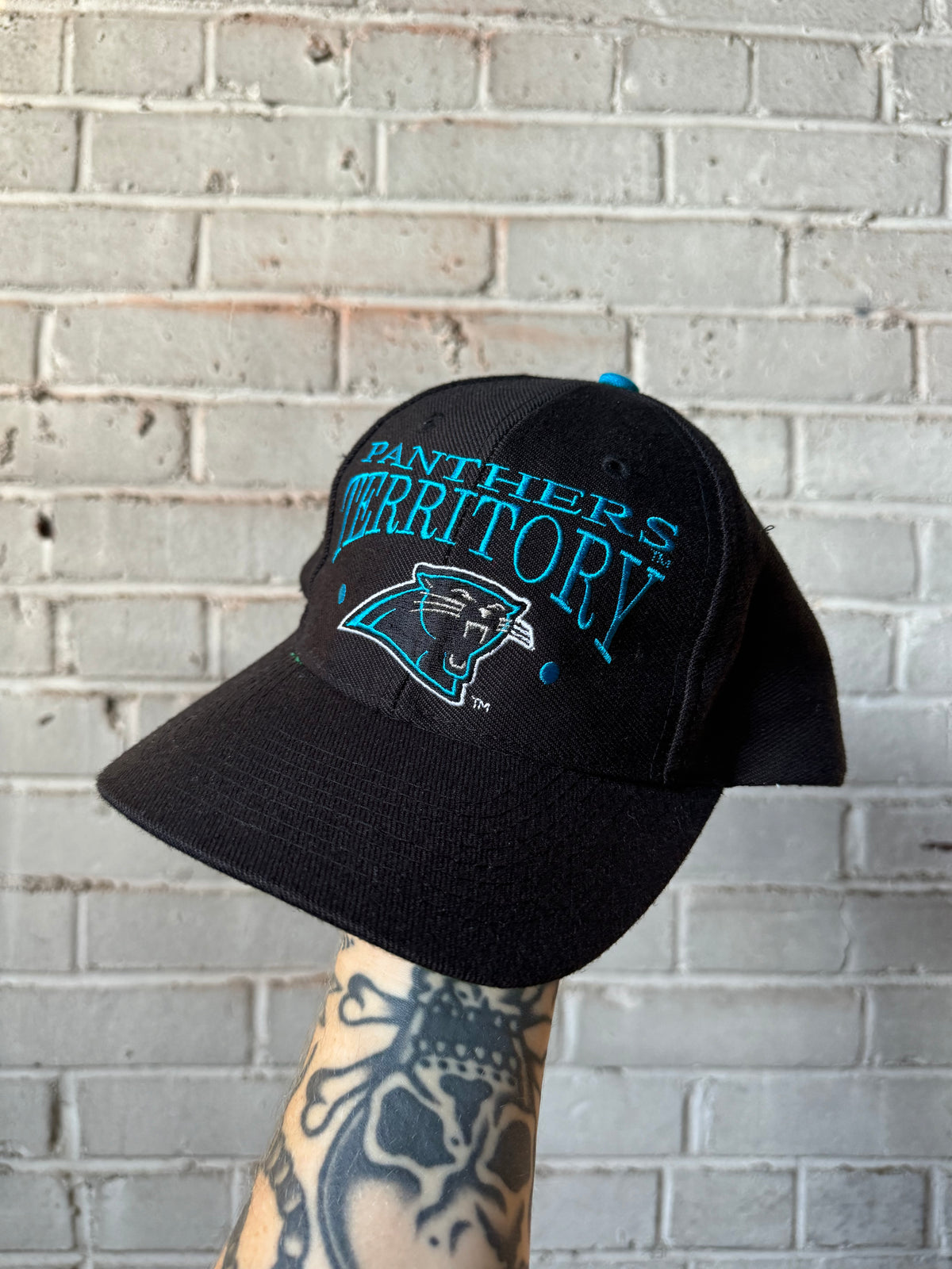90’s Carolina Panthers “Panthers Territory” Vintage Black The Game NFL Snapback Hat (OSFA)