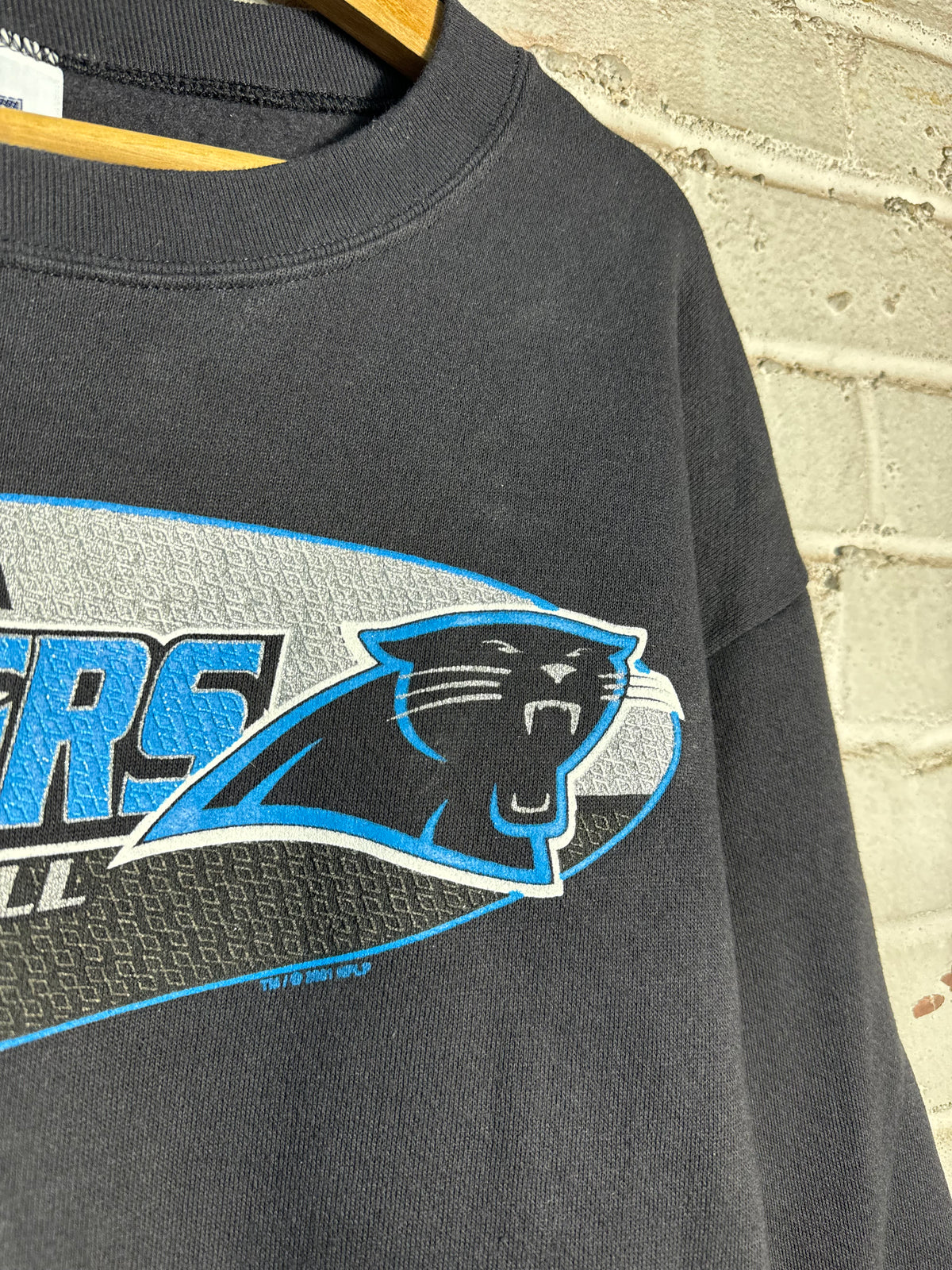 2001 Carolina Panthers Vintage Black Oval Logo NFL Crewneck (Large)