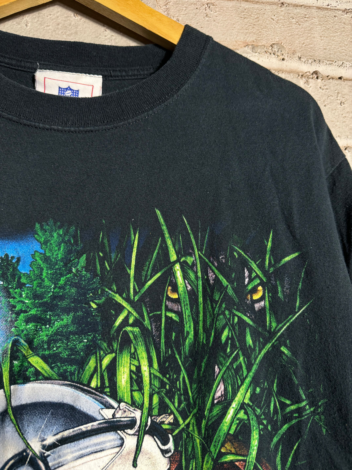 00’s Carolina Panthers Vintage Black “Panther Power” NFL Jungle Scene Tee (Small)