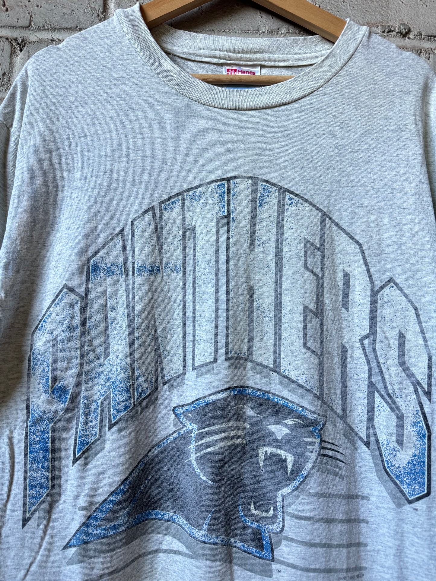 1995 Carolina Panthers Vintage Heather Grey Distressed NFL Tee (Large)