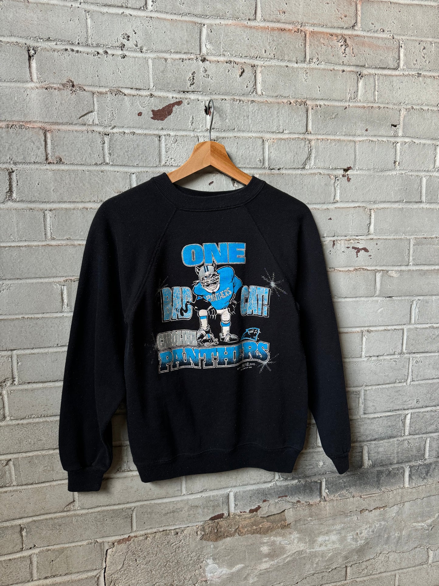1993 Carolina Panthers “One Bad Cat” Vintage NFL Crewneck (Youth XL)