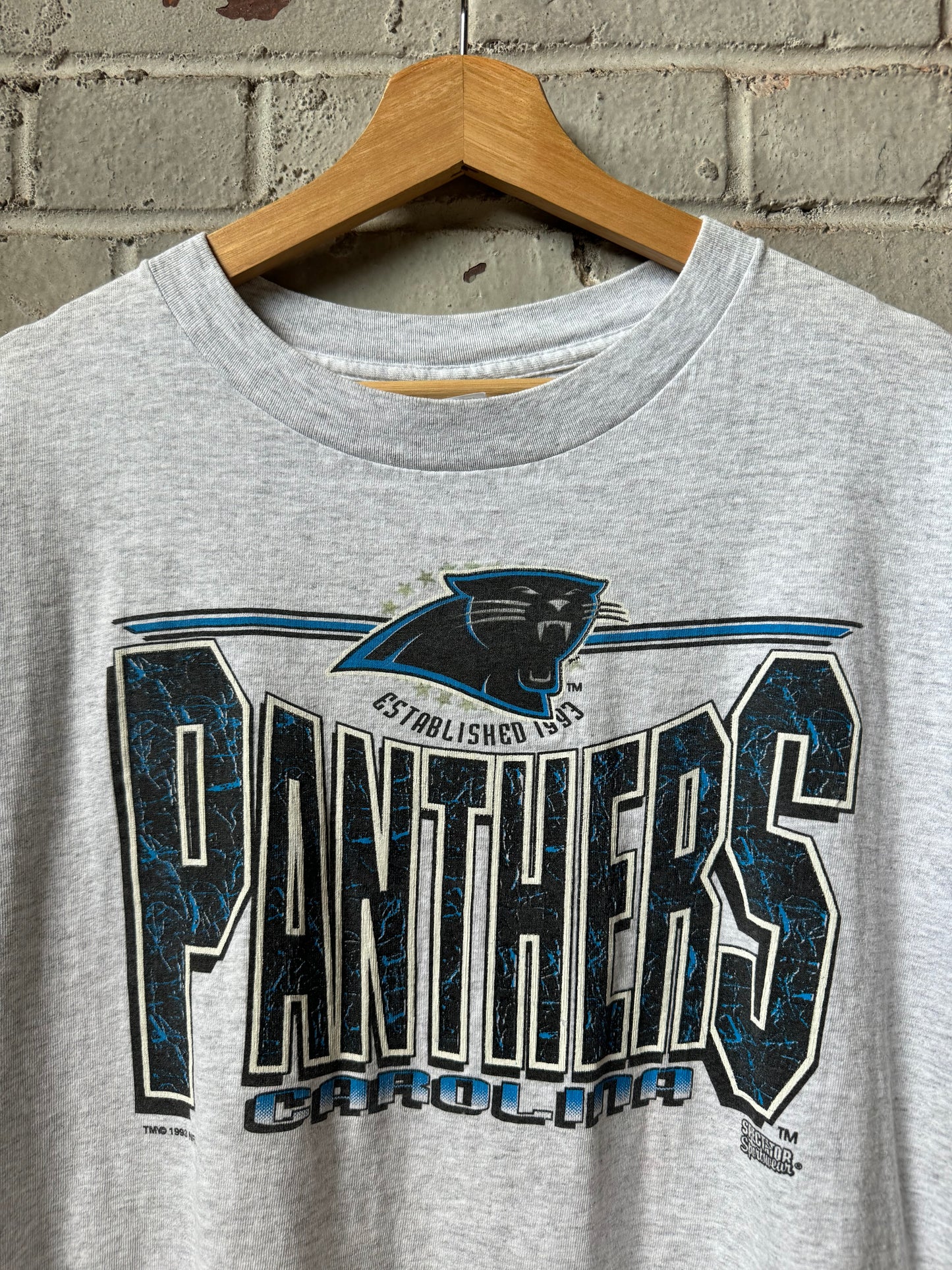 1993 Carolina Panthers Vintage Heather Grey Spellout NFL Tee (XL)