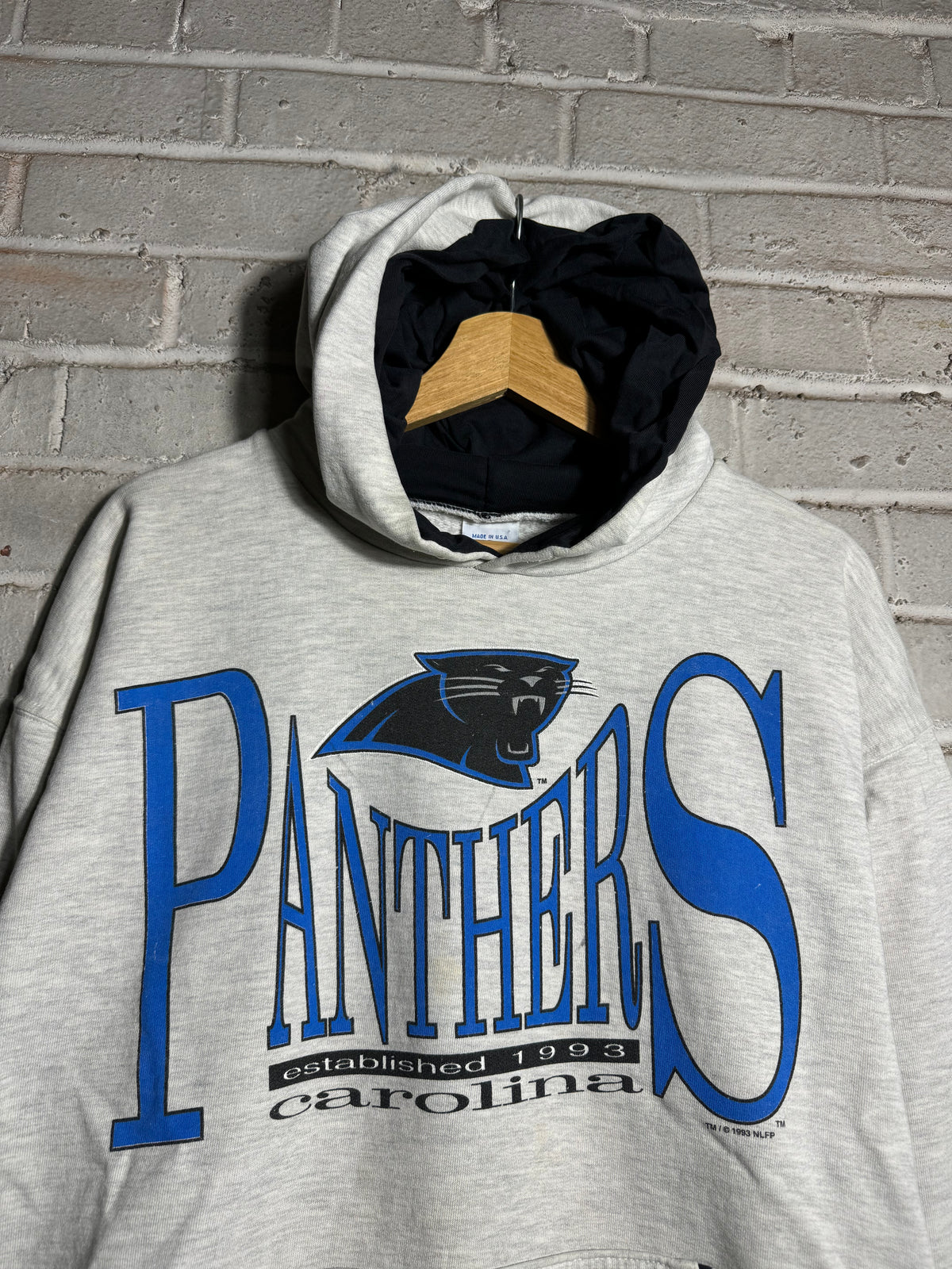 1993 Carolina Panthers Vintage Heather Grey Heavyweight Salem Sportswear NFL Hoodie (Large)