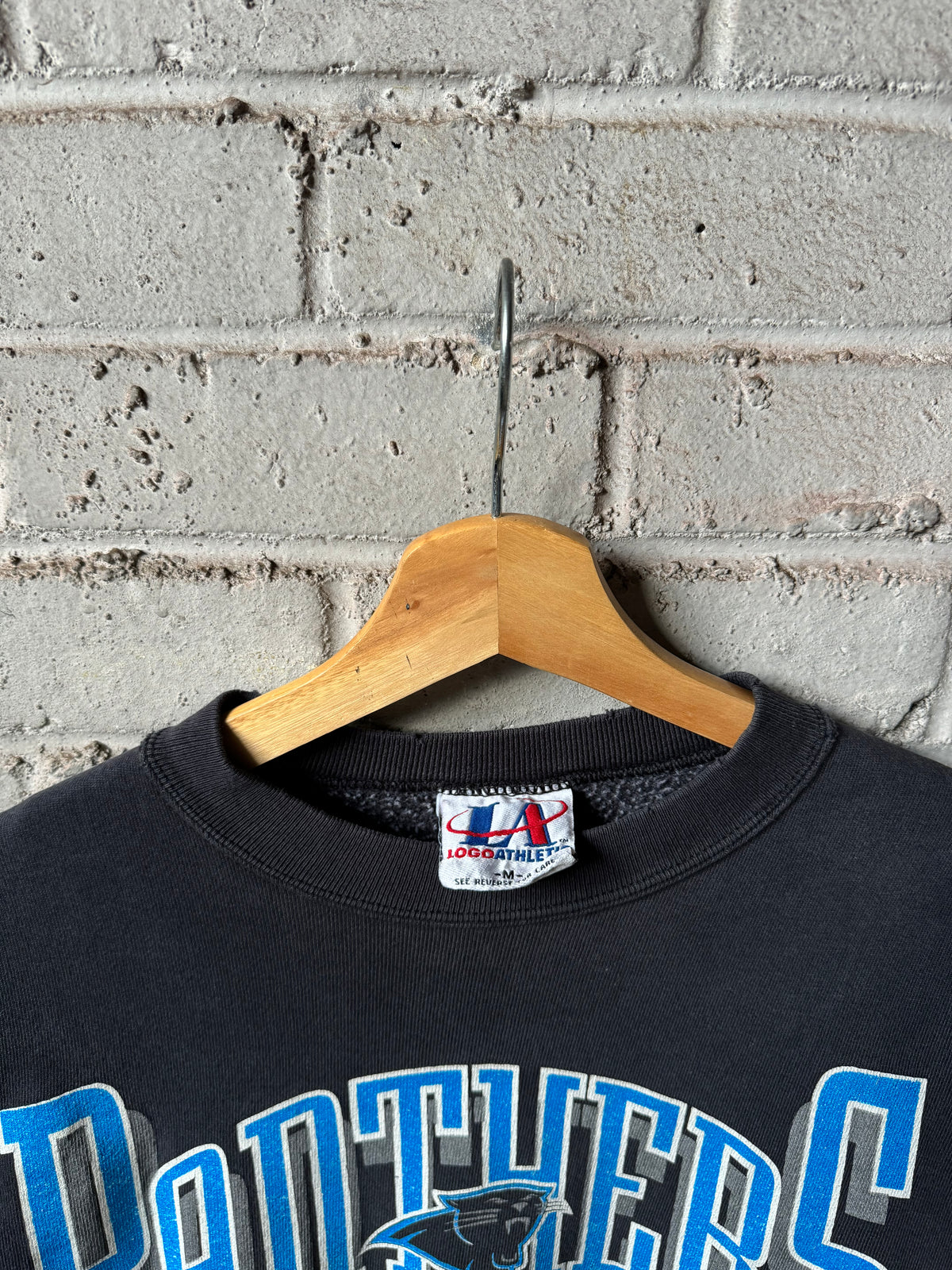 1993 Carolina Panthers Vintage Black Logo Athletic Heavyweight NFL Crewneck (Medium)