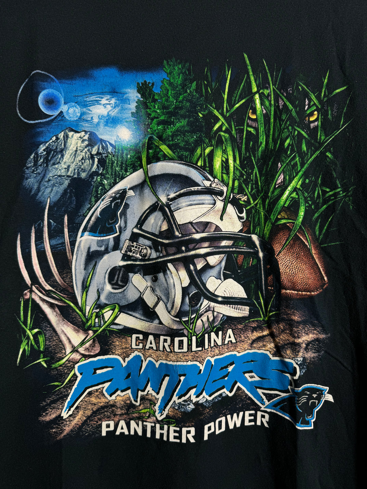 00’s Carolina Panthers Vintage Black “Panther Power” NFL Jungle Scene Tee (Small)