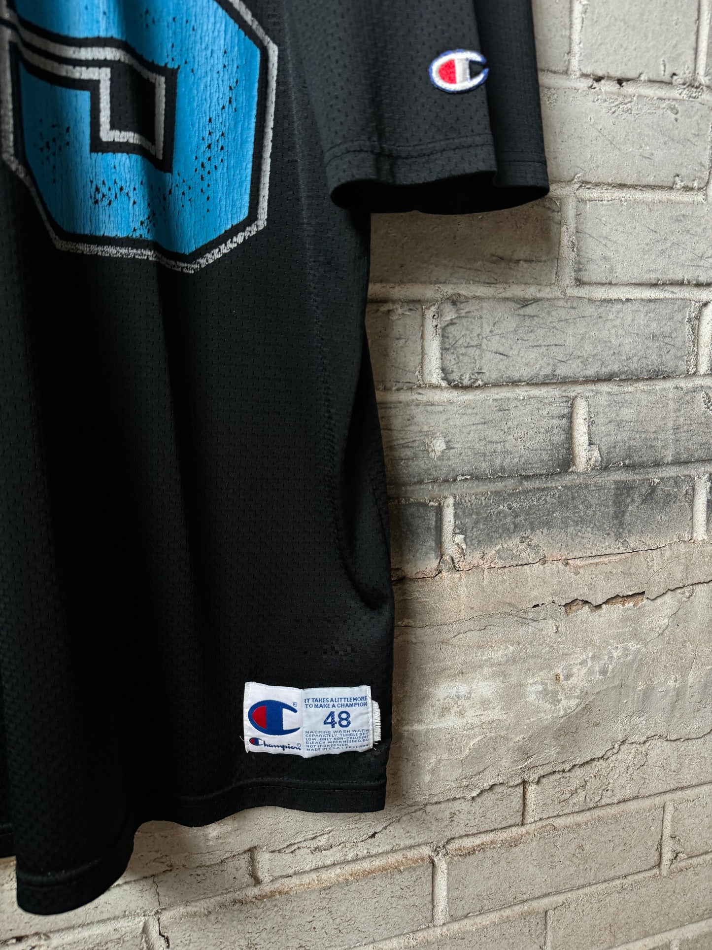 1995 Carolina Panthers Vintage Black Champion #95 Inaugural Season NFL Jersey (48/XL)