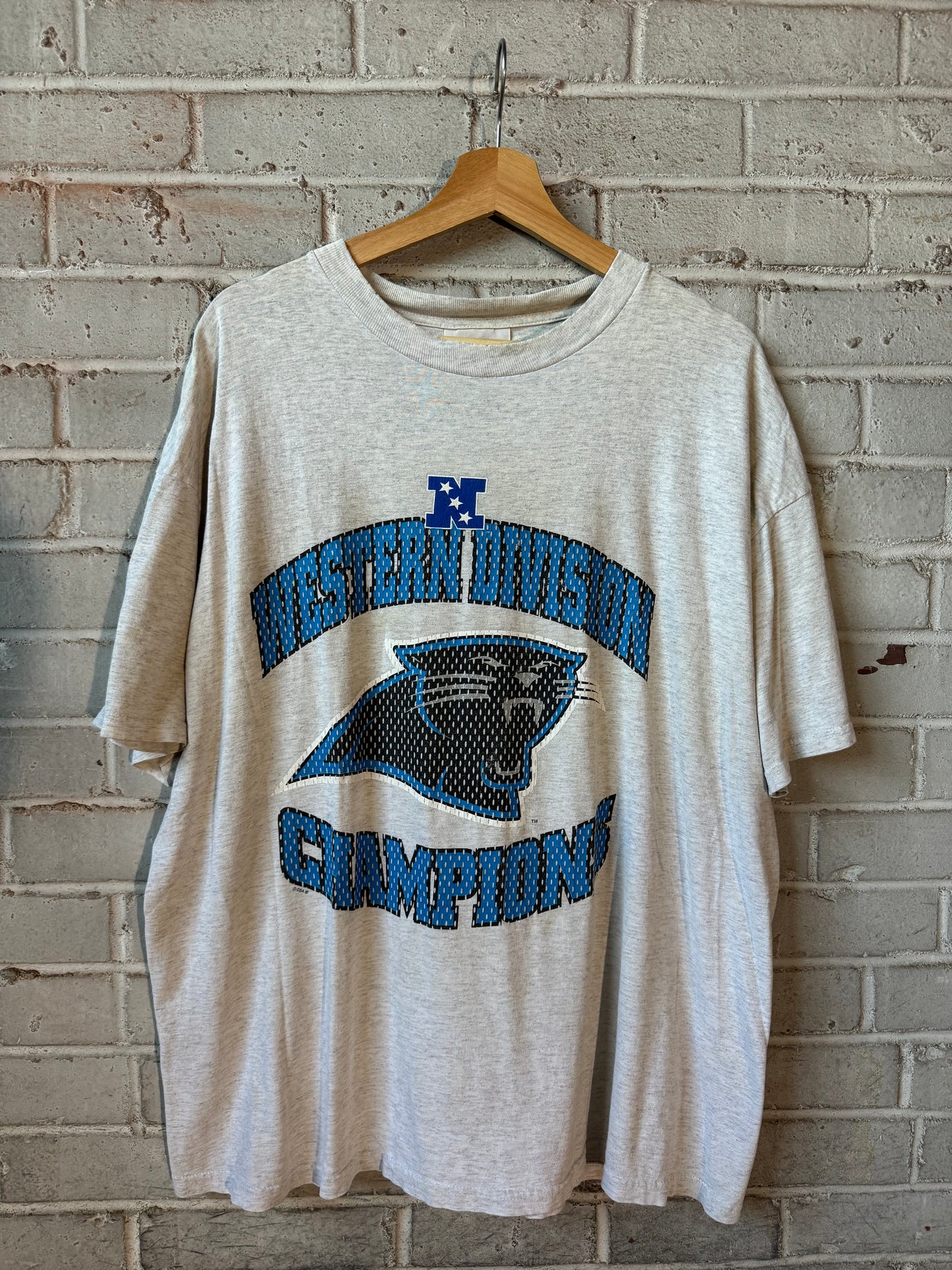 1996 Carolina Panthers NFC Western Division Champions Vintage Heather Grey NFL Tee (XL)