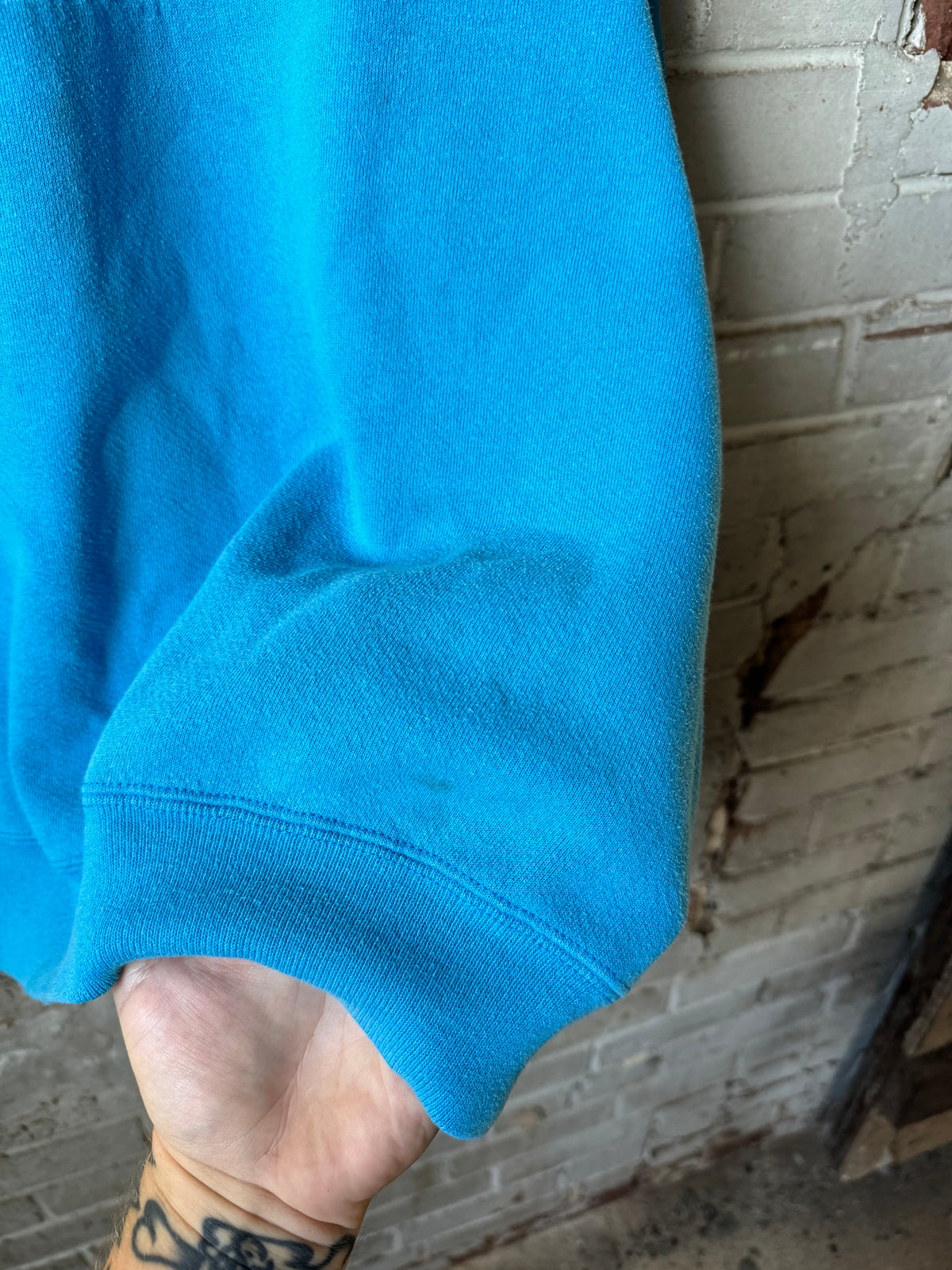 90’s Carolina Panthers Vintage Blue Lee Sport Embroidered NFL Crewneck (XL)