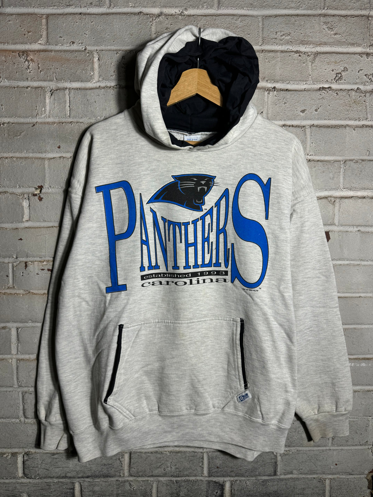 1993 Carolina Panthers Vintage Heather Grey Heavyweight Salem Sportswear NFL Hoodie (Large)