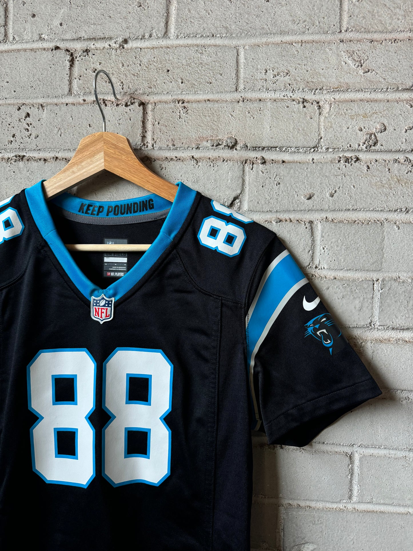 2014 Carolina Panthers