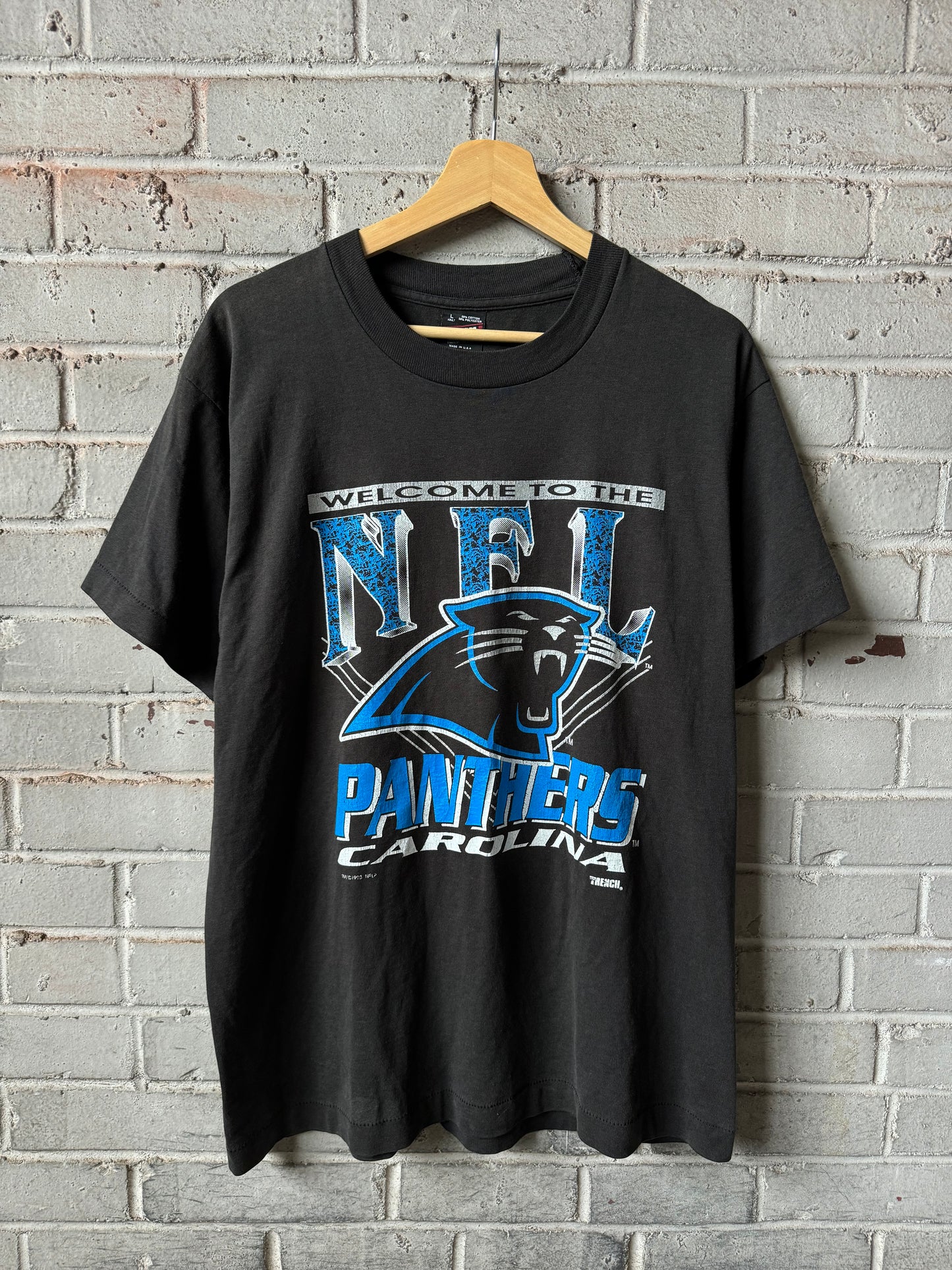 1993 Carolina Panthers Vintage Faded Black “Welcome To The NFL” Expansion Franchise Tee (Large)