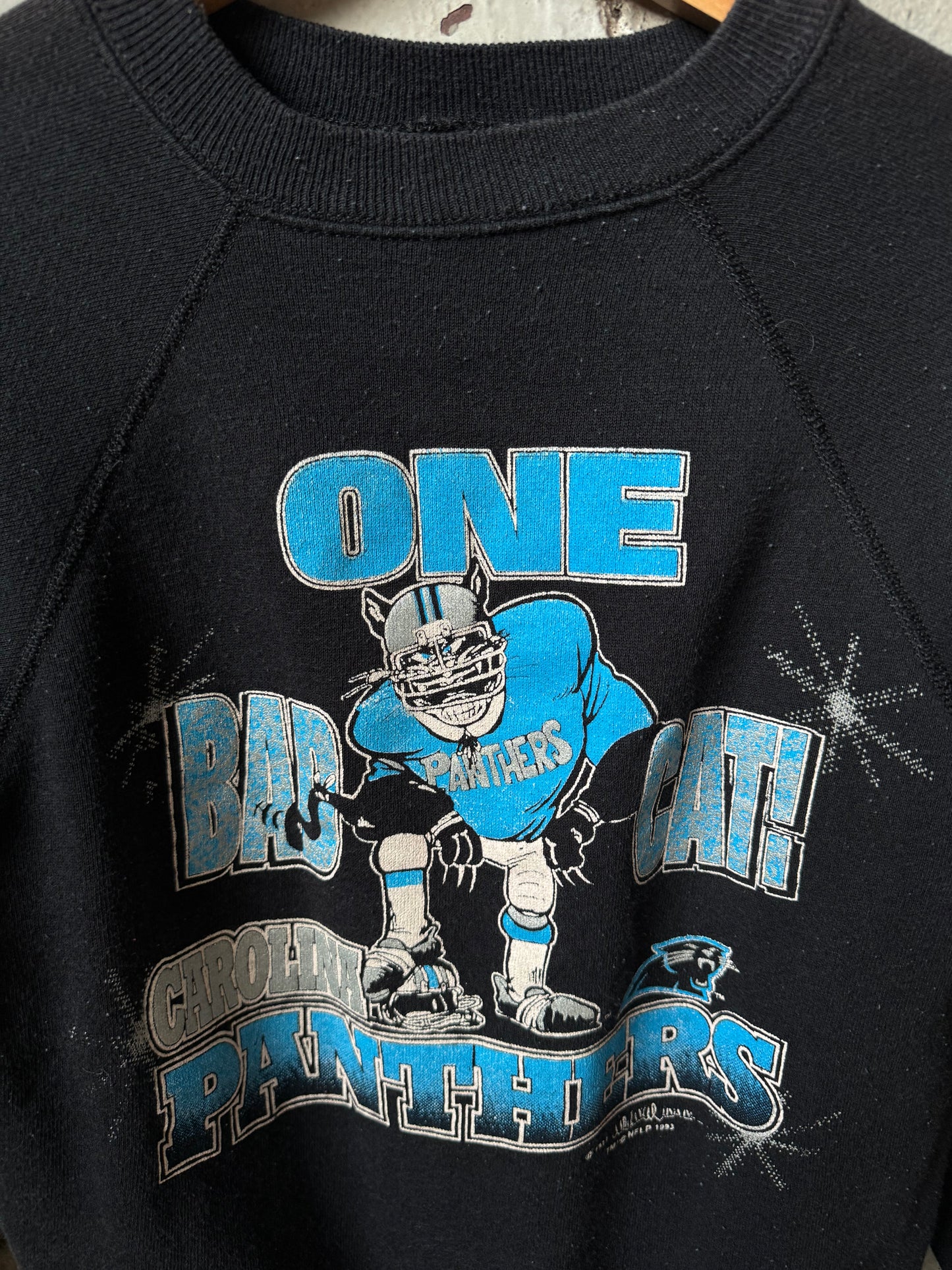 1993 Carolina Panthers “One Bad Cat” Vintage NFL Crewneck (Youth XL)