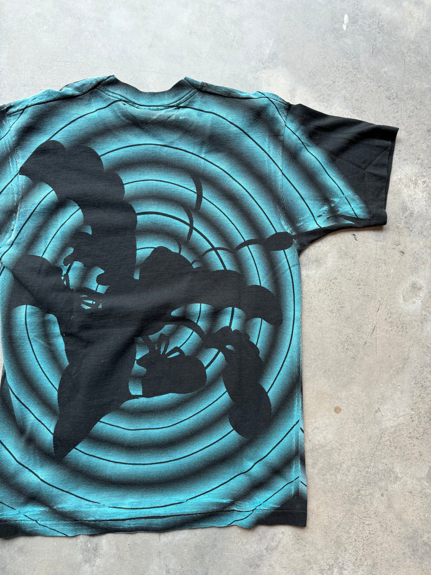 90’s Charlotte Hornets Vintage Salem Sportswear Vintage Shadow Print NBA Tee (Large)