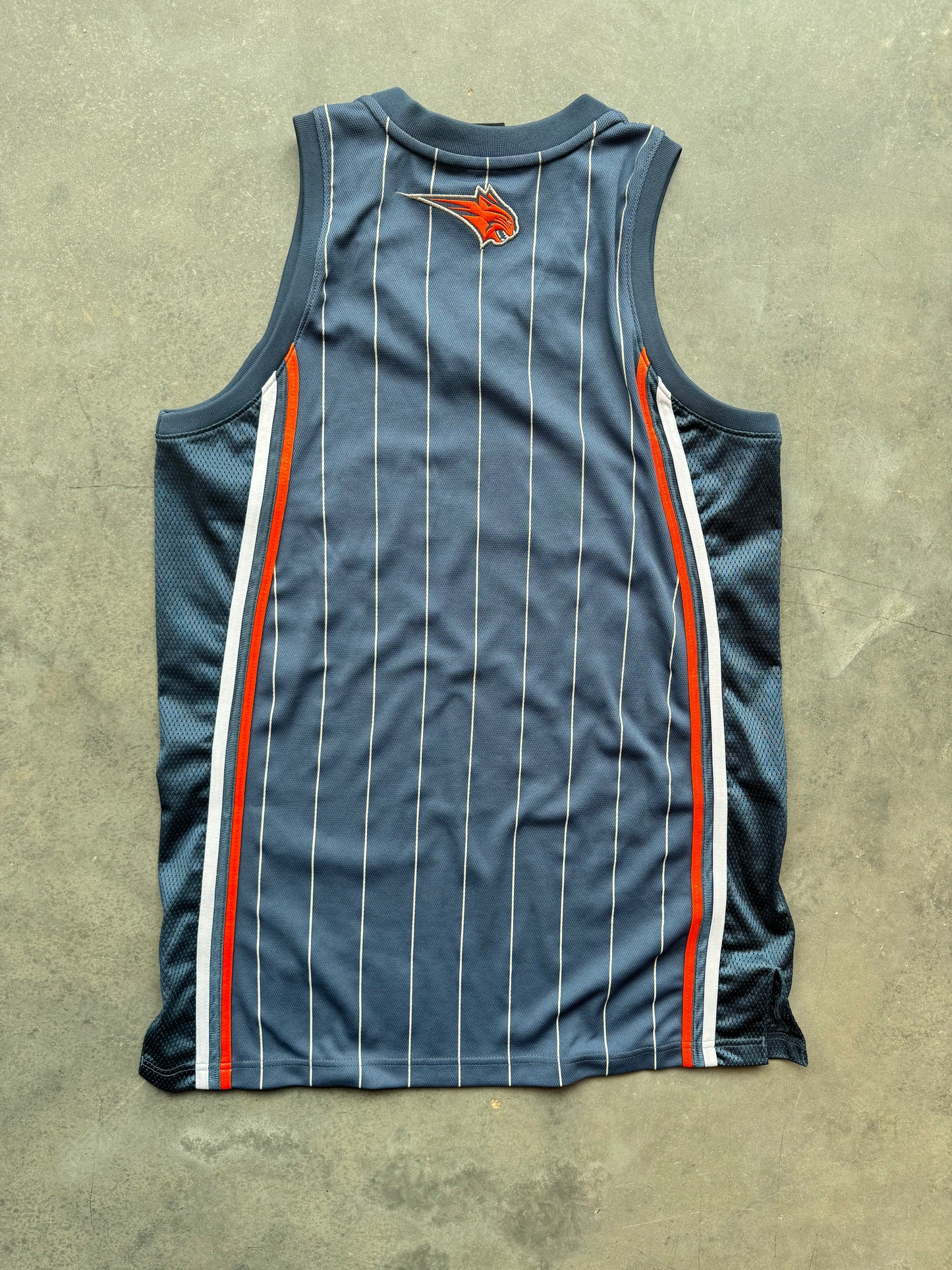 2009/2010 Charlotte Bobcats Vintage Blue Pinstriped Blank Customizable NBA Authentic Jersey (40/Medium)