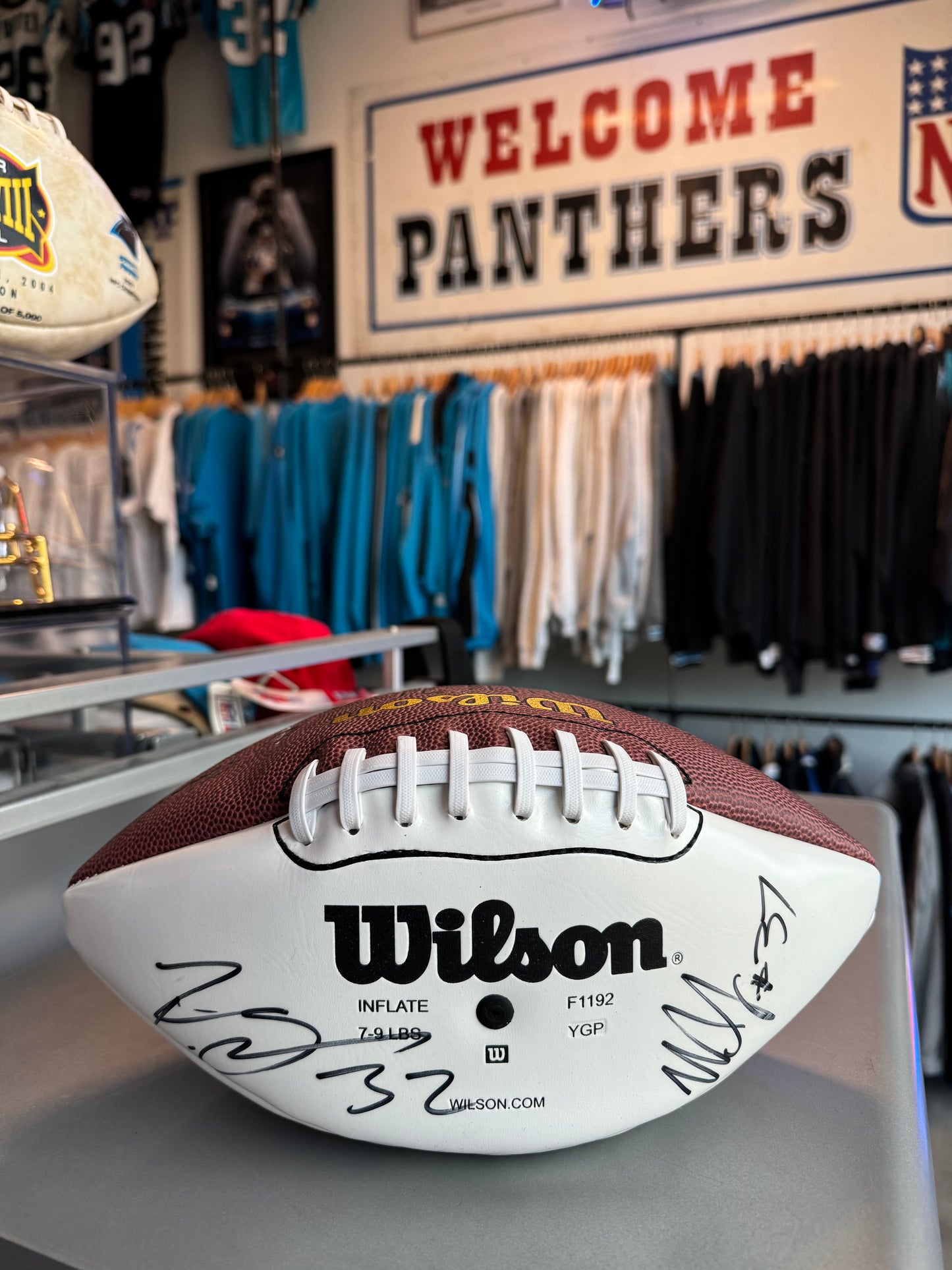 2004 Carolina Panthers 10th Anniversary Team Wilson White Panel NFL Football - Autographed