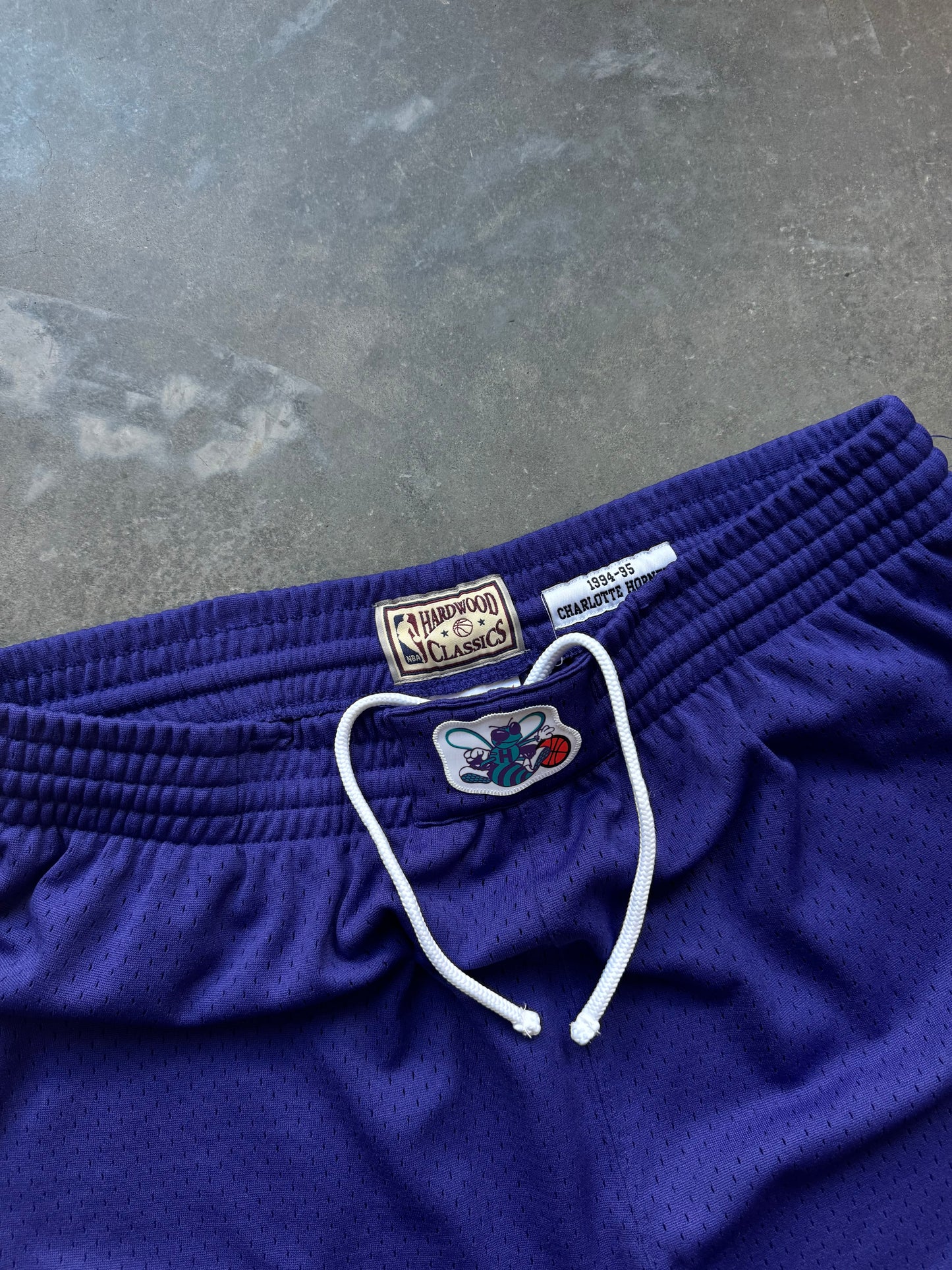 1994/1995 Charlotte Hornets Purple Alternate Mitchell and Ness Swingman NBA Shorts (XL)