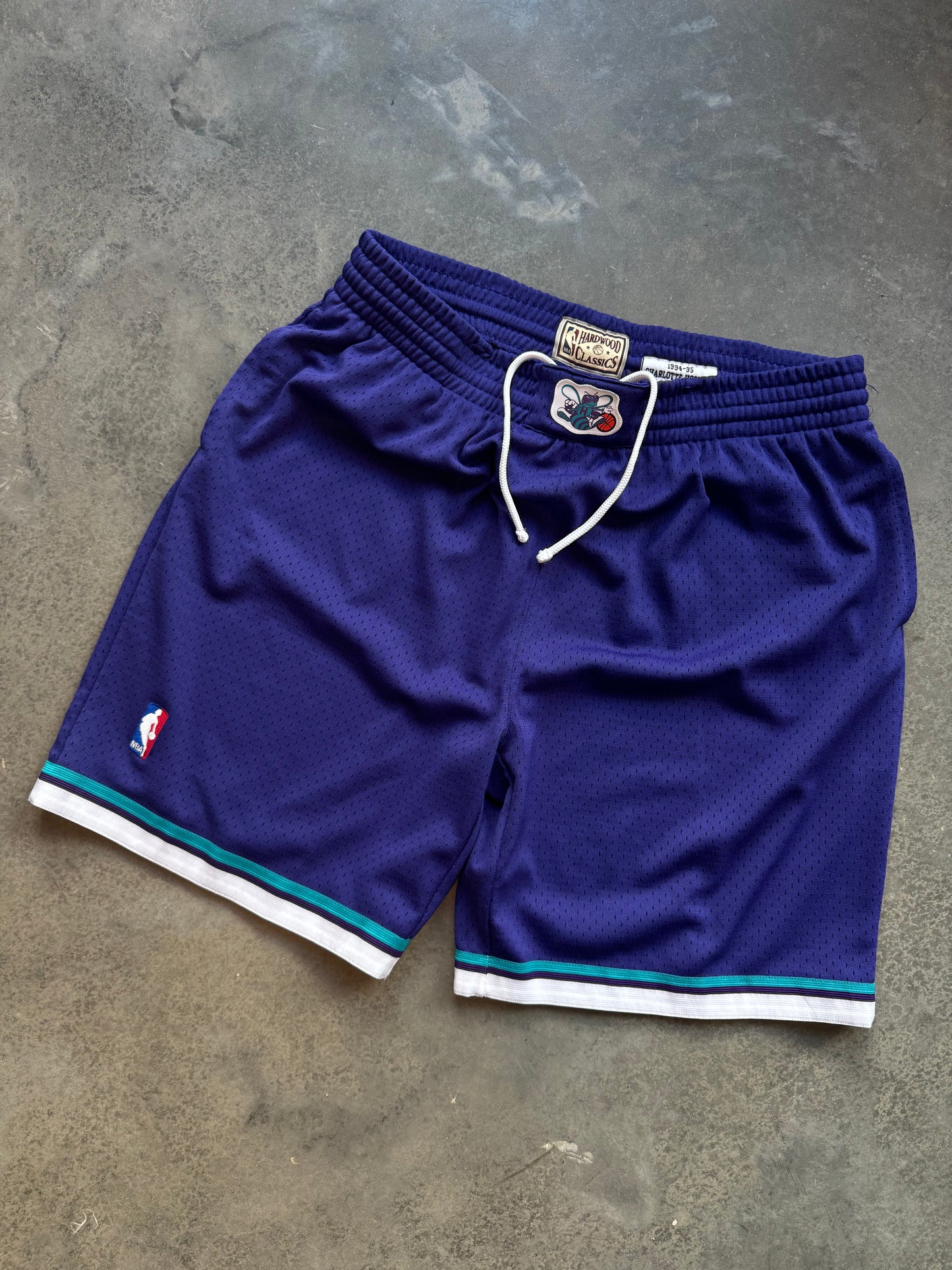 1994/1995 Charlotte Hornets Purple Alternate Mitchell and Ness Swingman NBA Shorts (XL)