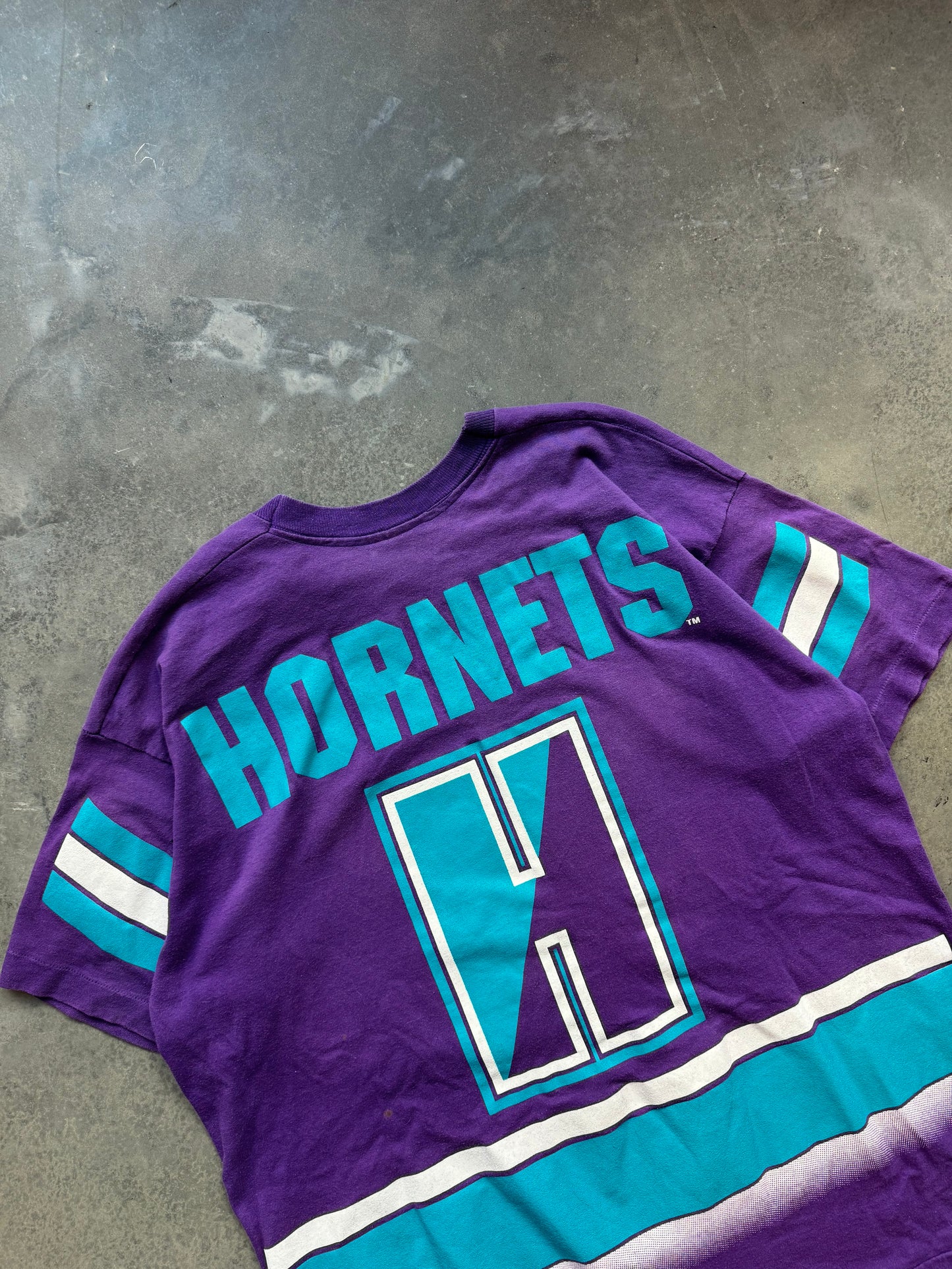 90’s Charlotte Hornets Vintage Purple Salem Sportswear Big Logo Print NBA Tee (XL)