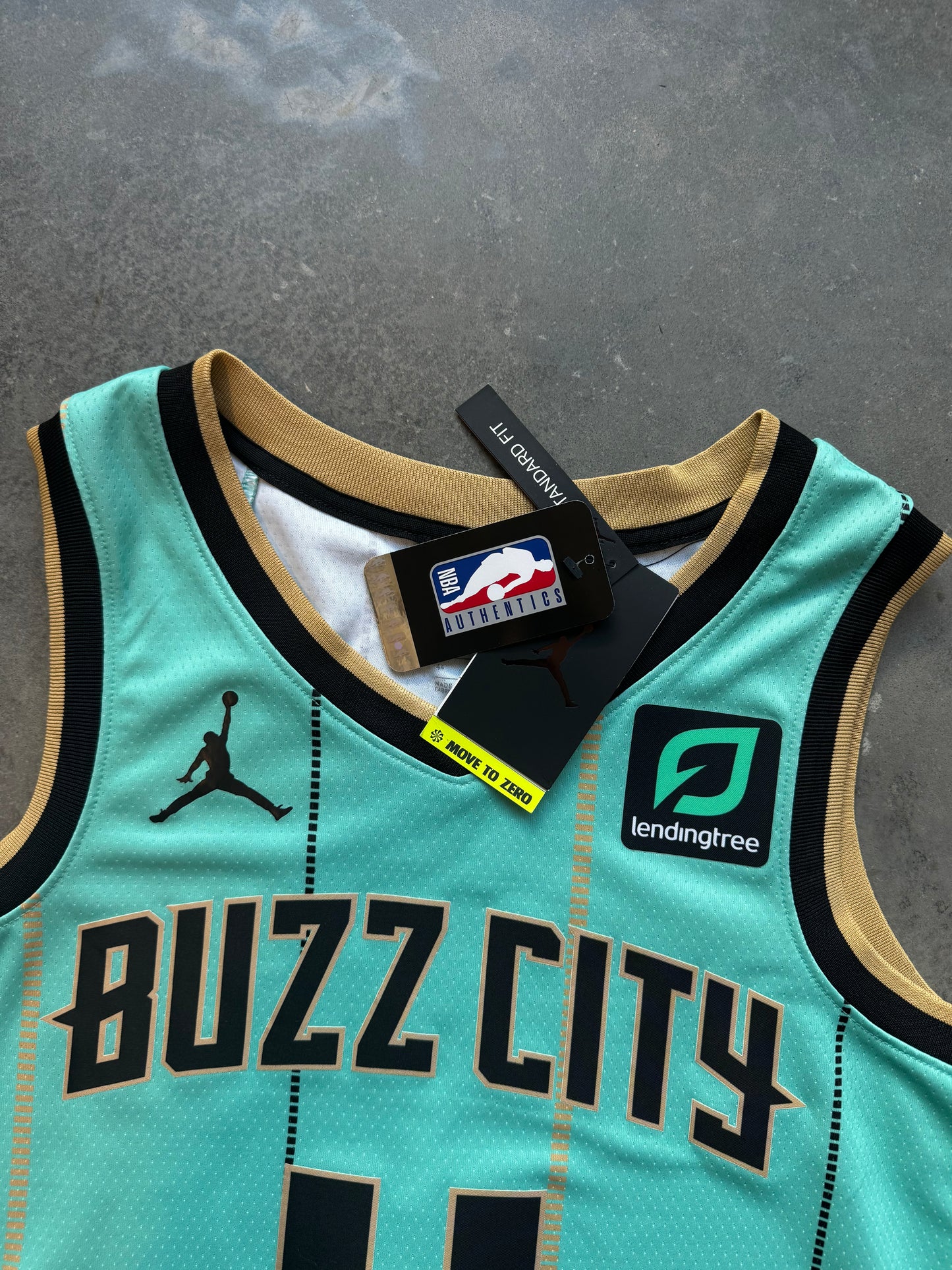 2020/2021 Charlotte Hornets Devonte Graham Mint Buzz City Alternate Jordan Brand NBA Jersey - Deadstock (44/Medium)