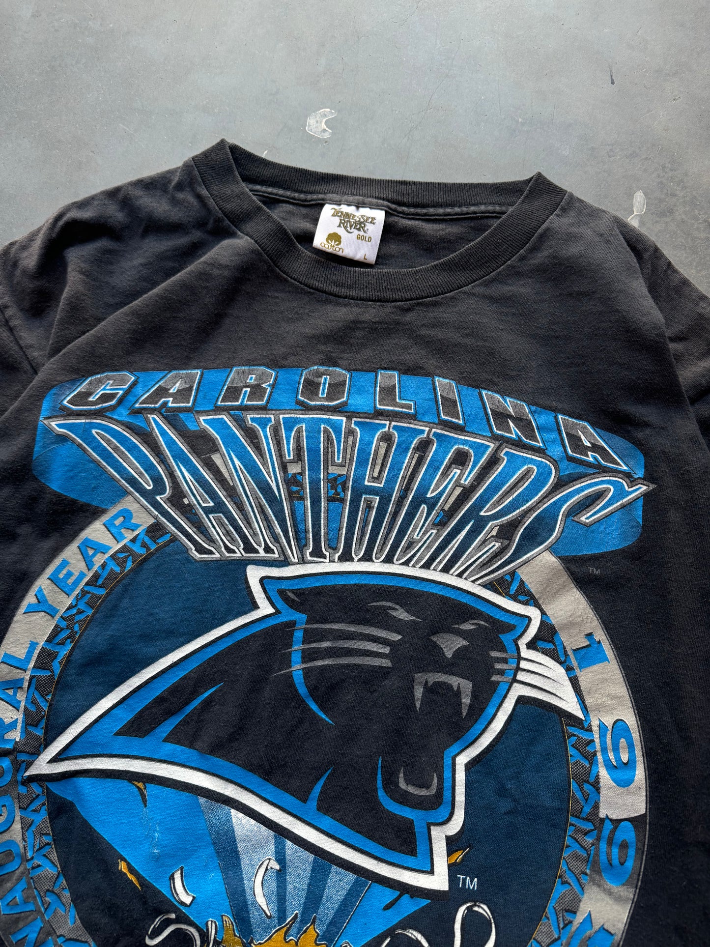 1993 Carolina Panthers Inaugural Season Vintage Black Shirt Xplosion NFL Tee (Large)