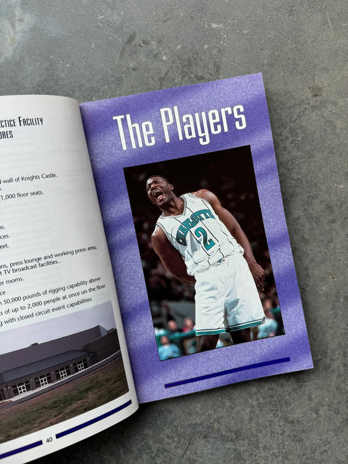 1993/1994 Charlotte Hornets Vintage NBA Media Guide Coffee Table Book