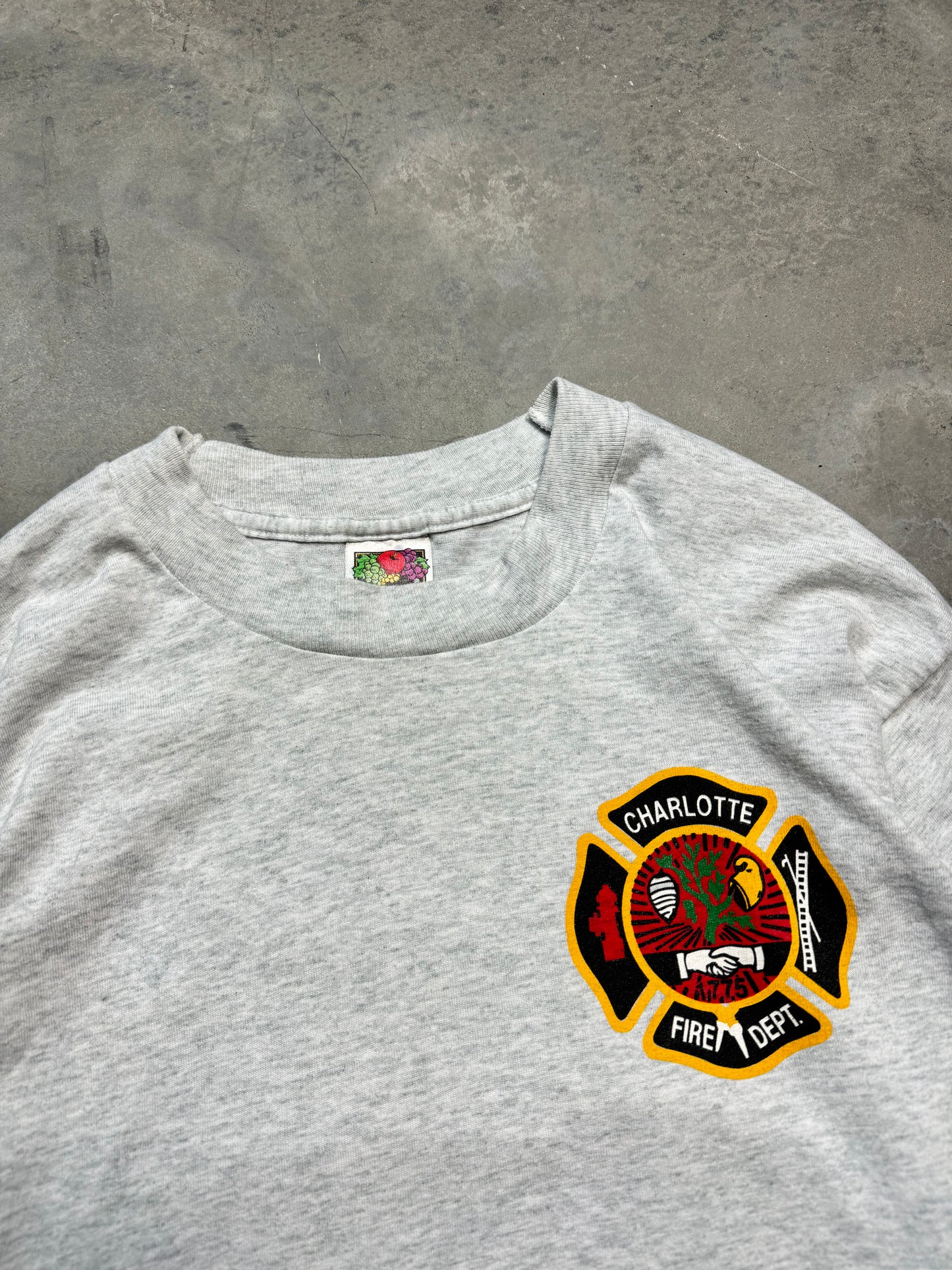 00’s Carolina Panthers x Charlotte Fire Dept Station 4 “Protectors of the Lair” Vintage Heather Grey NFL Tee (Medium)