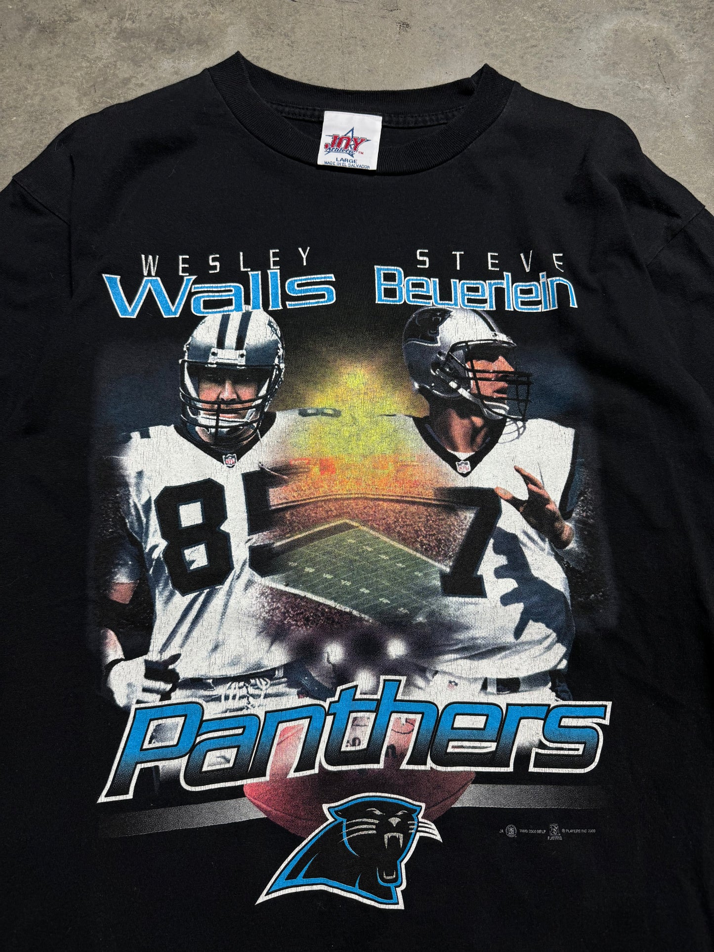 2000 Carolina Panthers Wesley Walls Steve Beuerlein Vintage NFL Players Tee (Large)