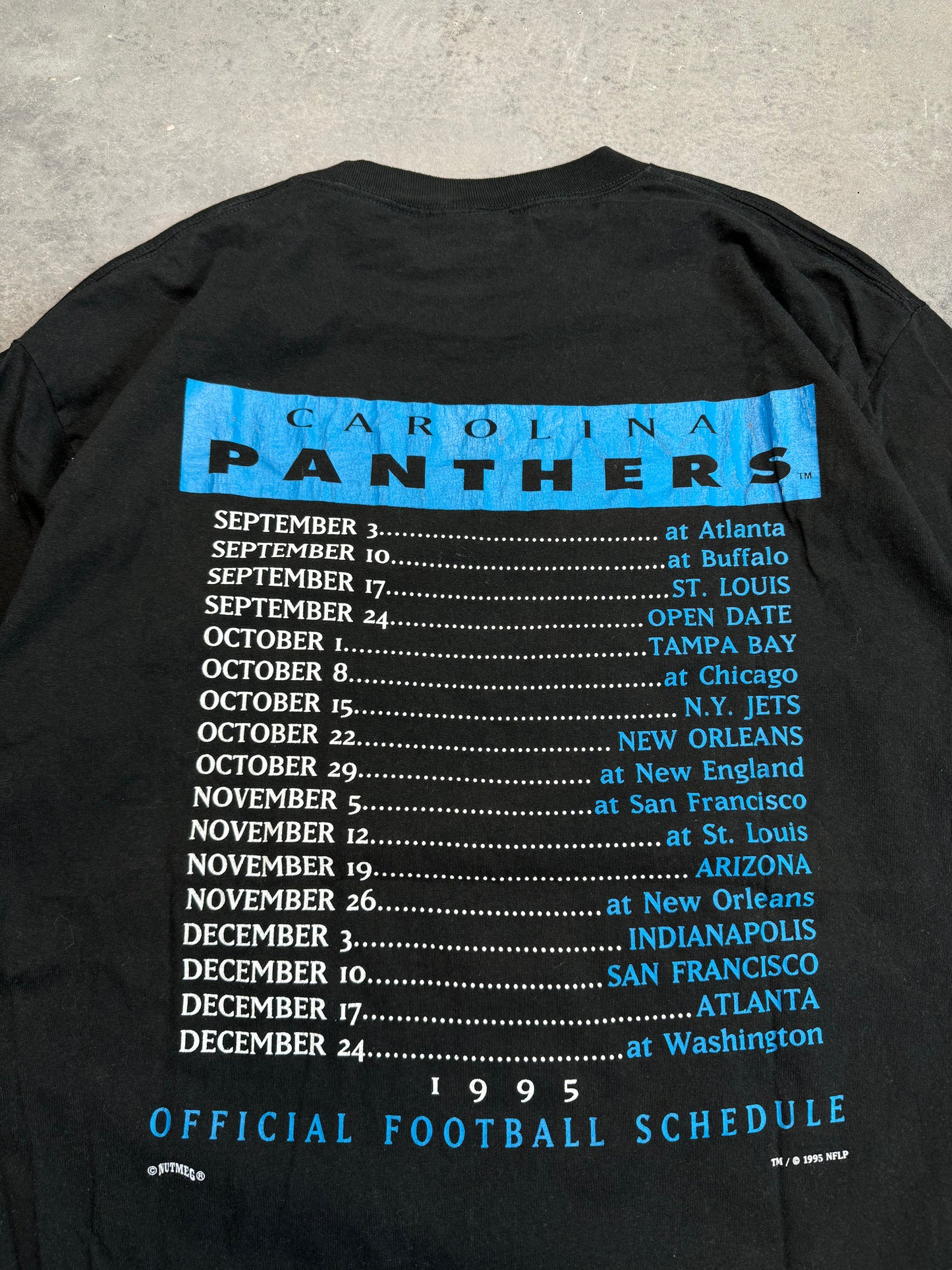 1995 Carolina Panthers Vintage Lee Sport Inaugural Season NFL Schedule Tee (XL)