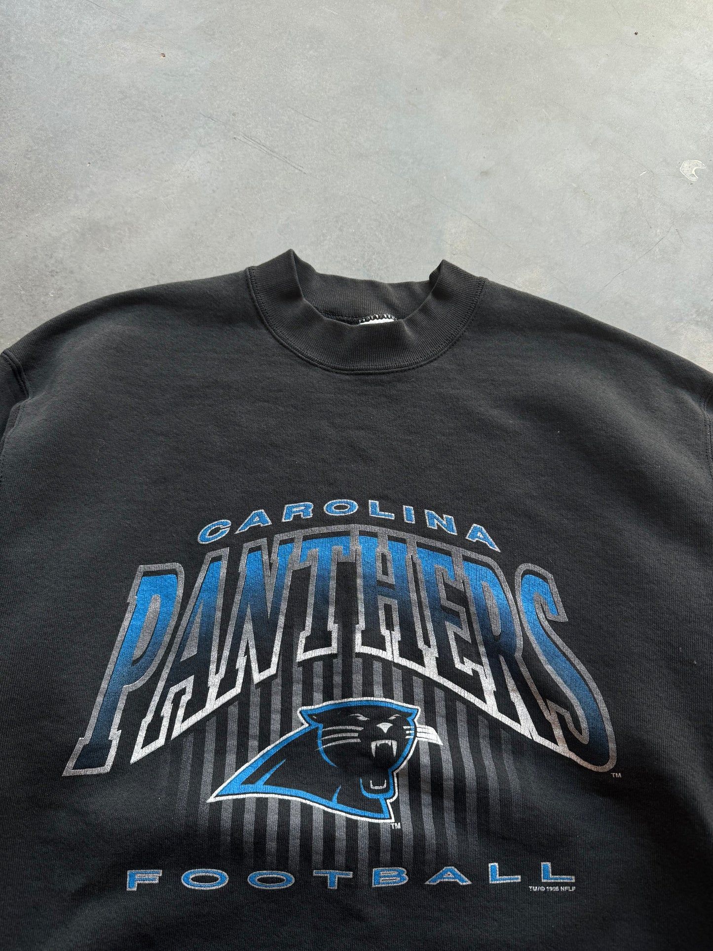 1995 Carolina Panthers Vintage Arch Logo Salem Sportwear NFL Crewneck (Large)