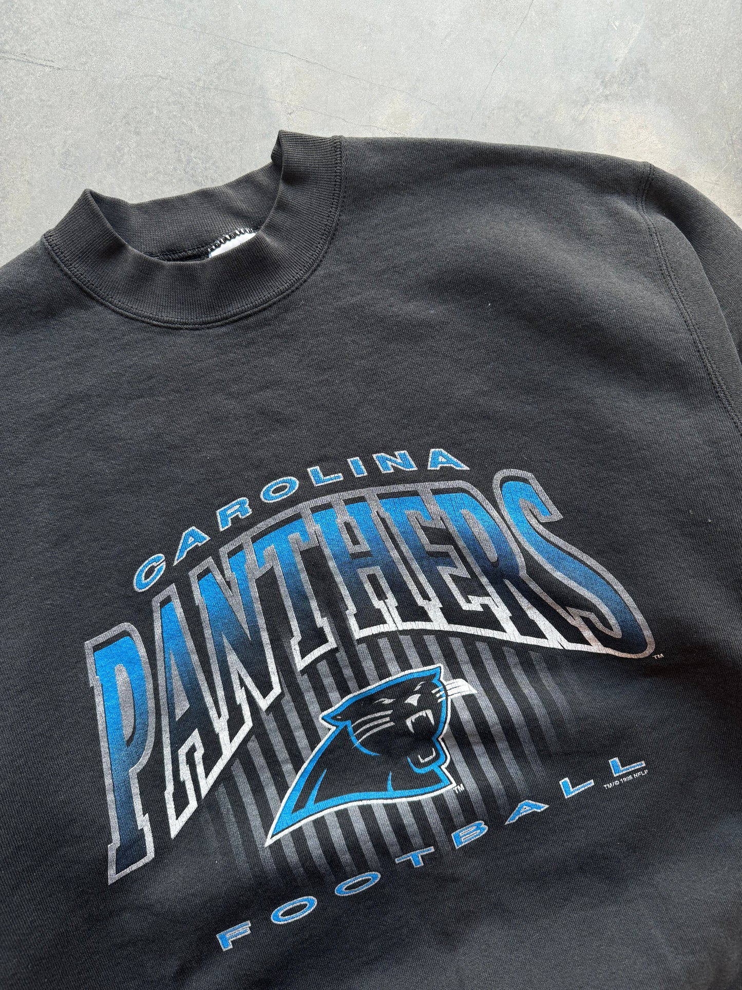 1995 Carolina Panthers Vintage Arch Logo Salem Sportwear NFL Crewneck (Large)