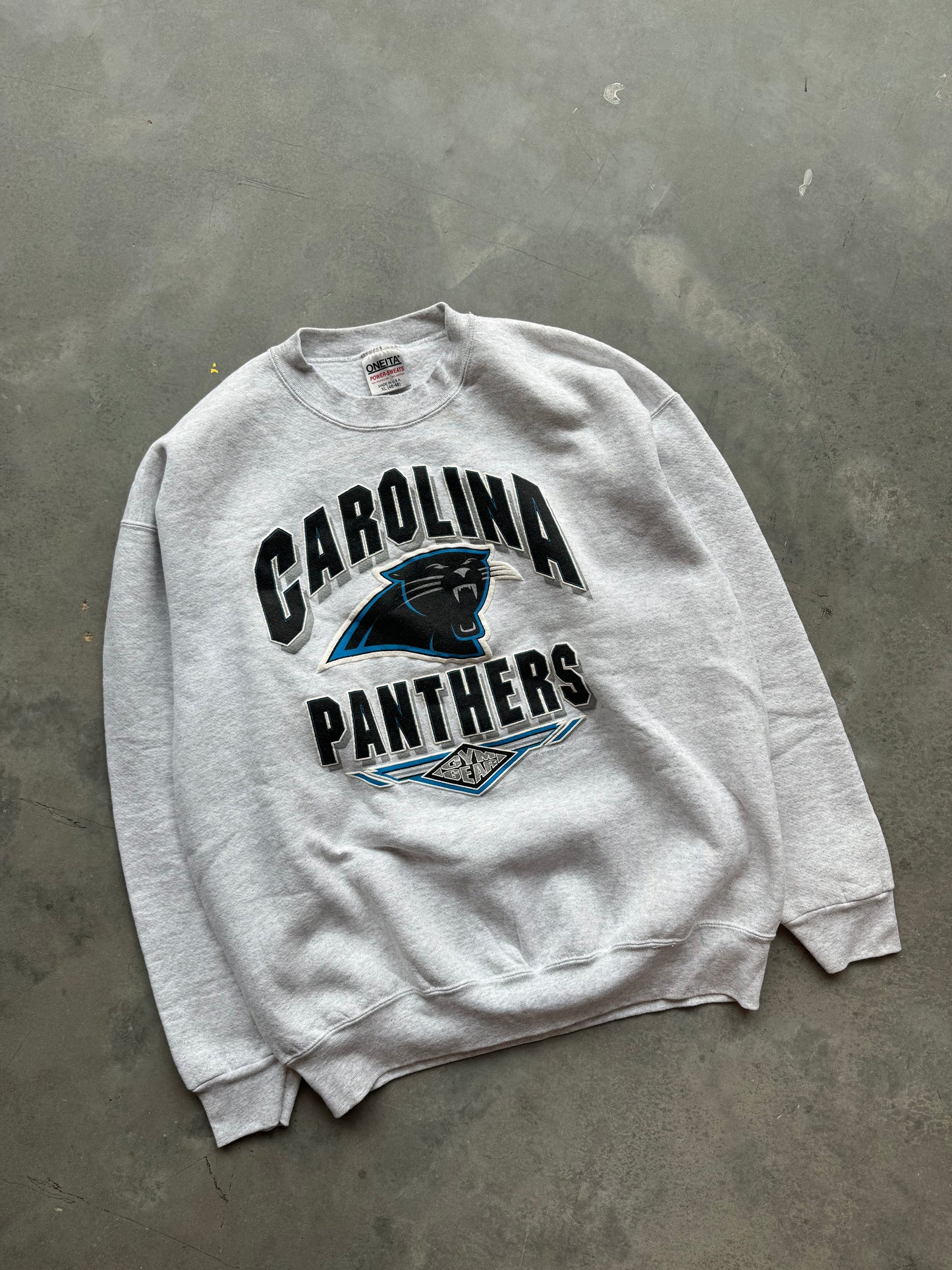 1993 Carolina Panthers Vintage Gym Gear Heavyweight NFL Crewneck (XL)