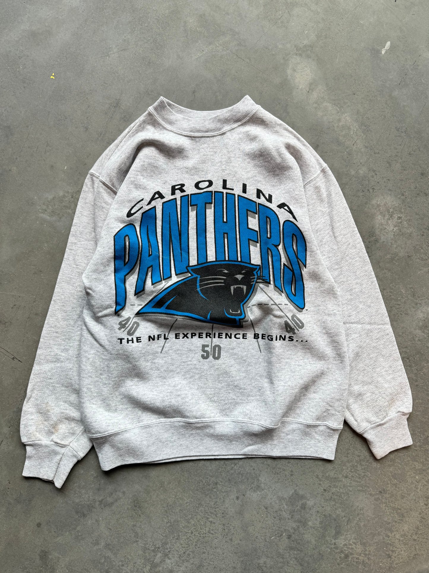 1993 Carolina Panthers “The NFL Experience Begins” Vintage Crewneck (Medium)