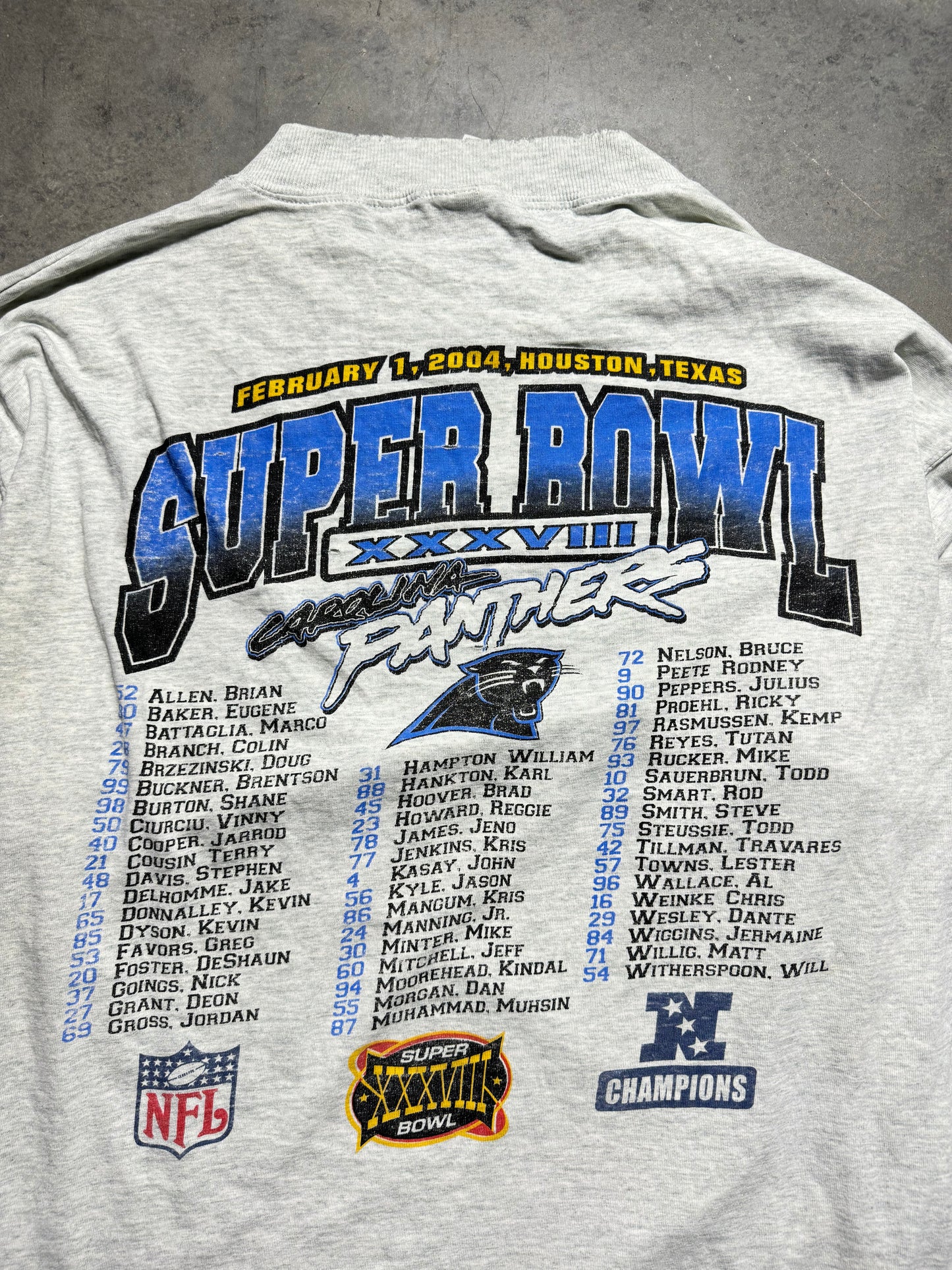 2004 Carolina Panthers Heather Grey Super Bowl XXXVIII “Houston, Here We Come!” Vintage NFL Longsleeve Roster Tee (XXL)